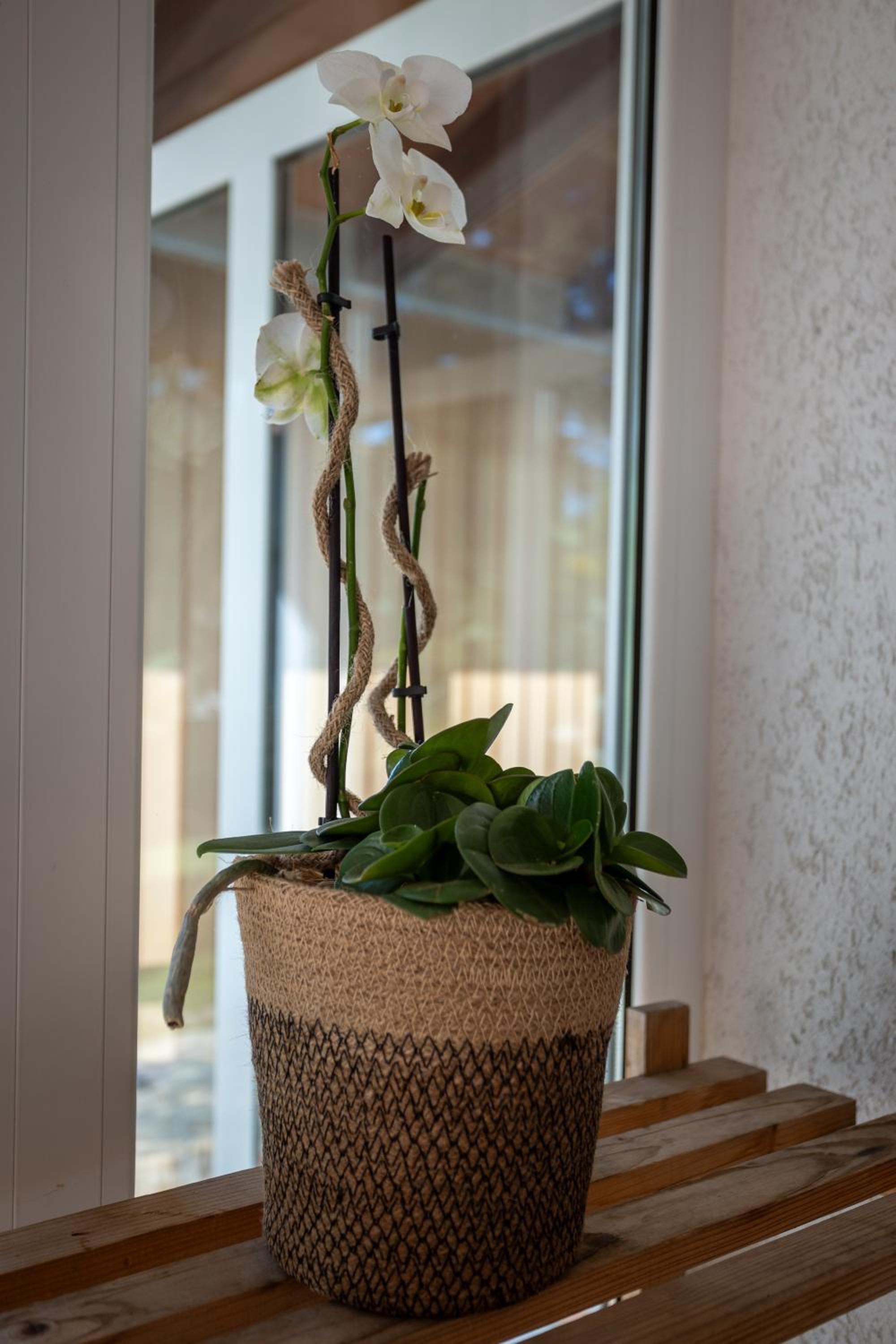 Photo 32