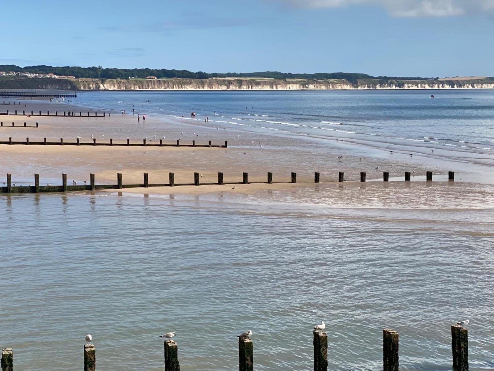 Sunrise Cove, The Bay, Filey