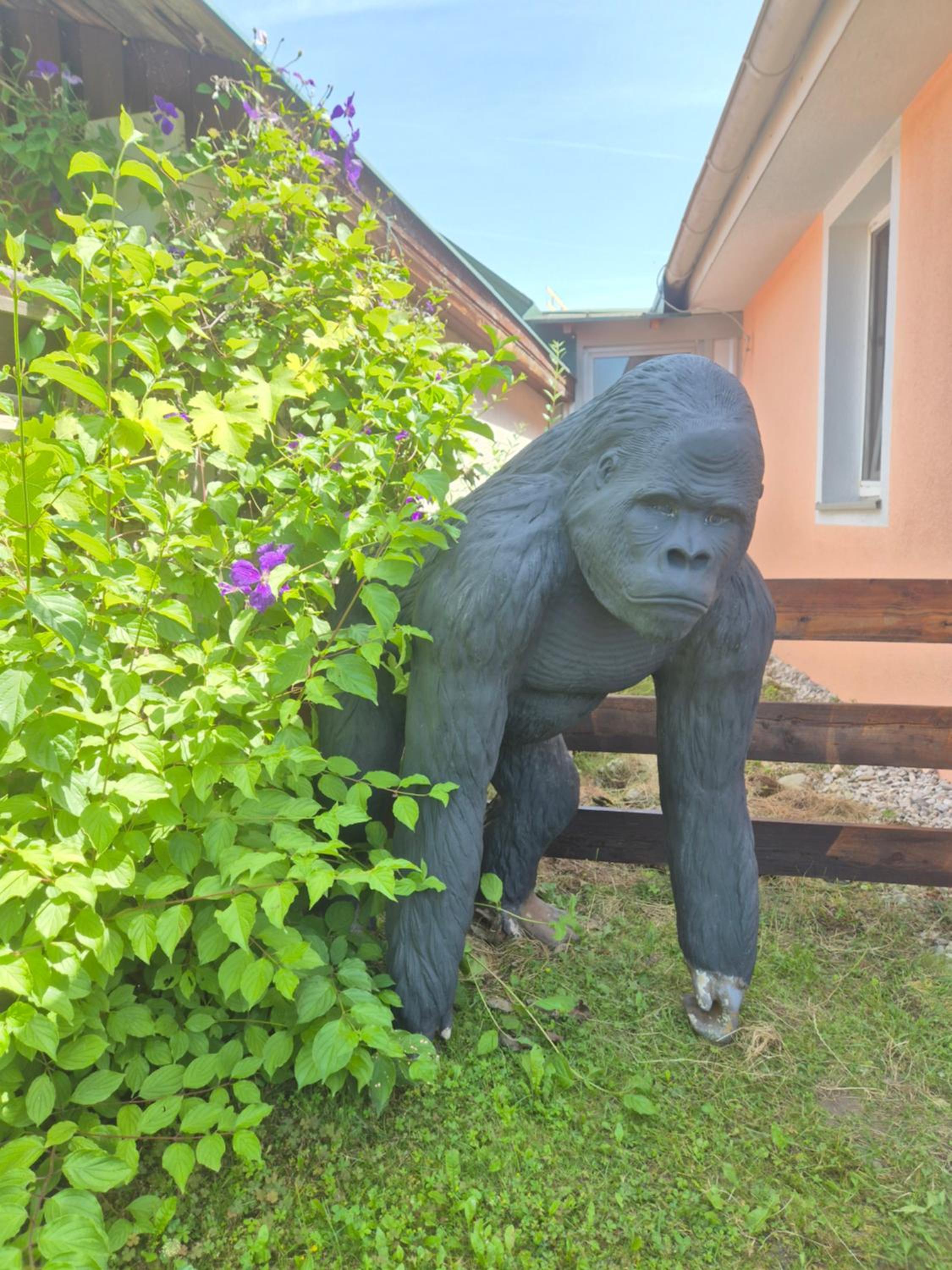 Bungalow Paradies - Nähe Sonnentherme