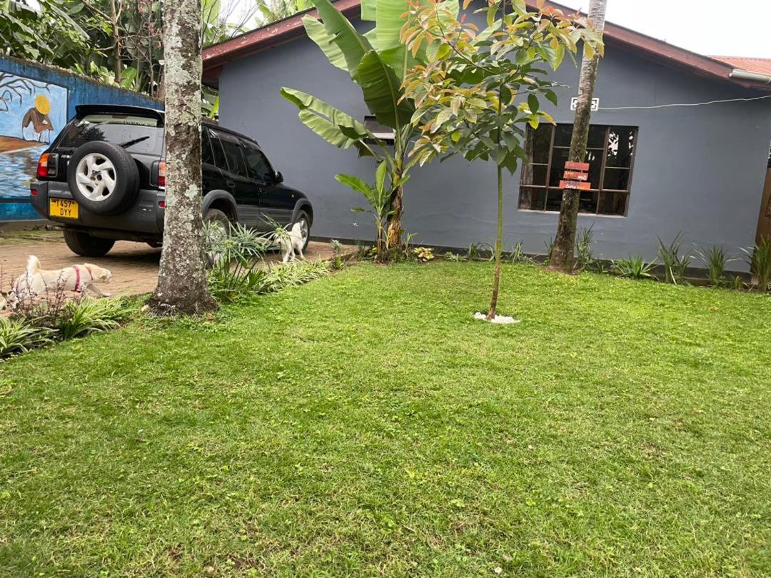 Uhuru Homestay