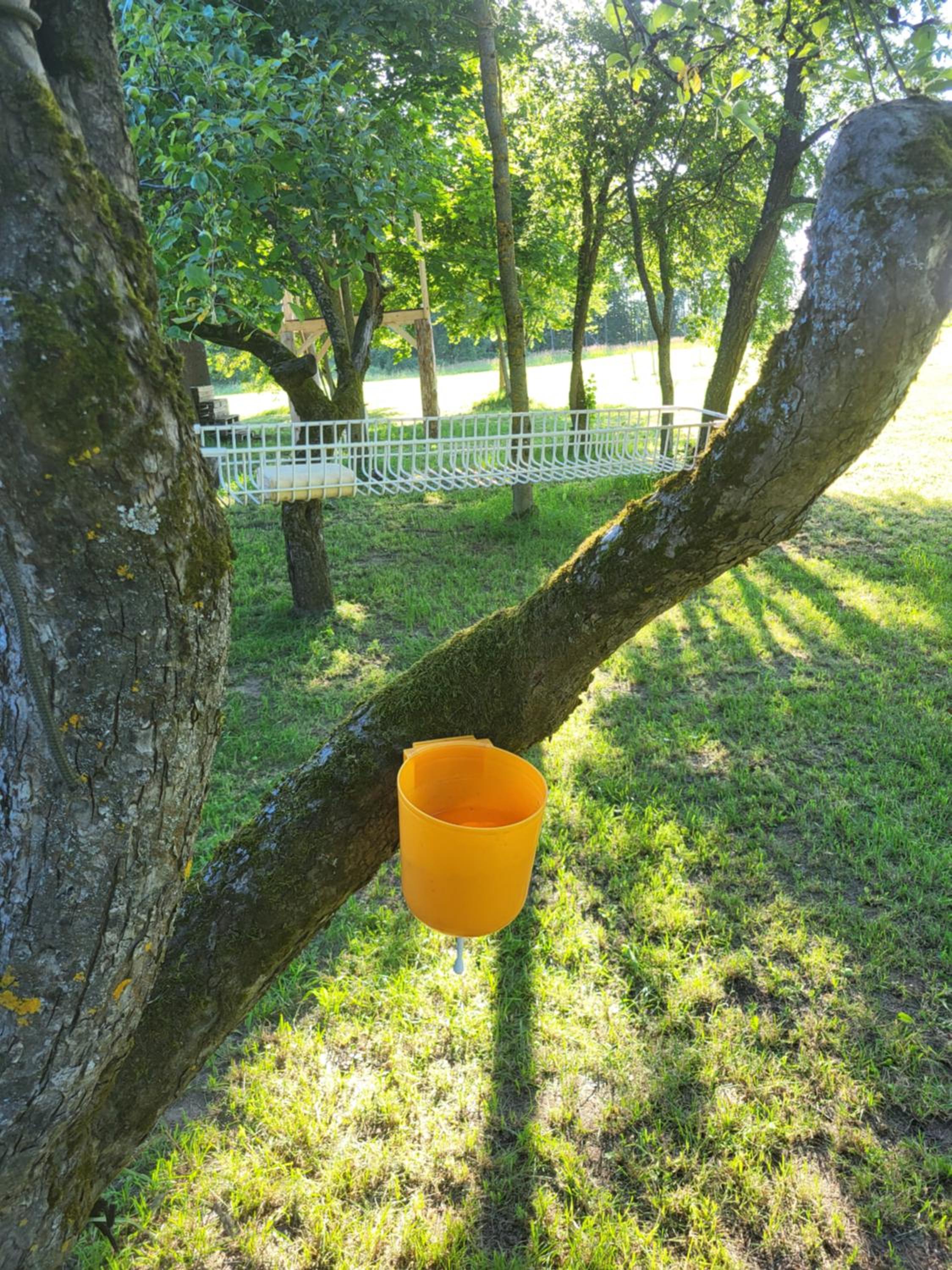 Šimtametis namelis