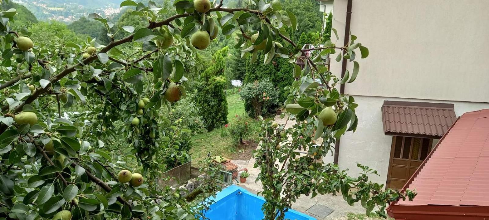 Sarajevo Hills,garage parking and big garden free