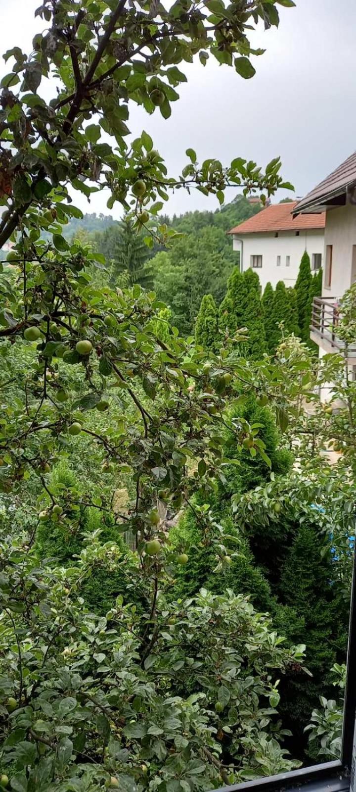 Sarajevo Hills,garage parking and big garden free