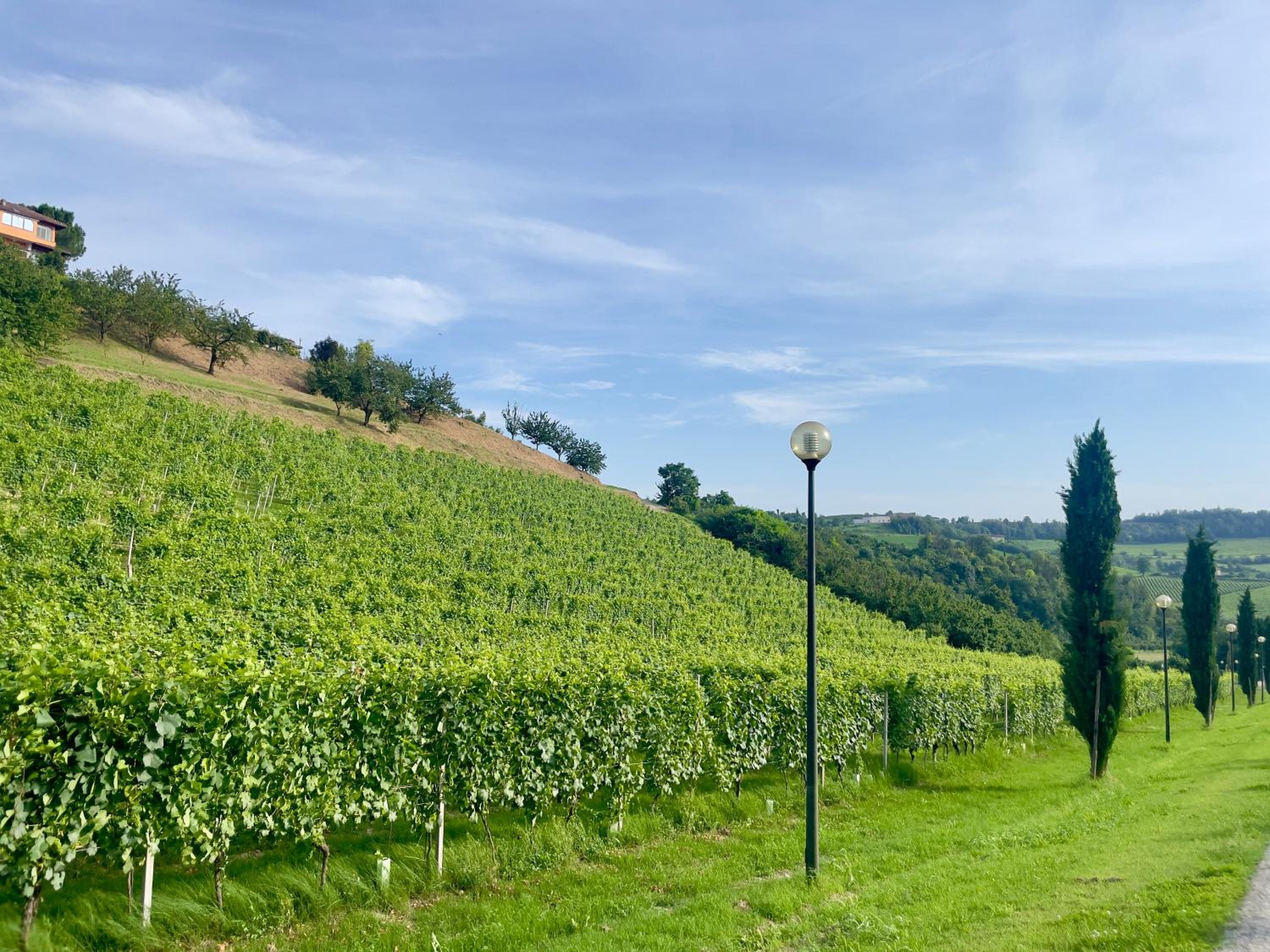 Landora