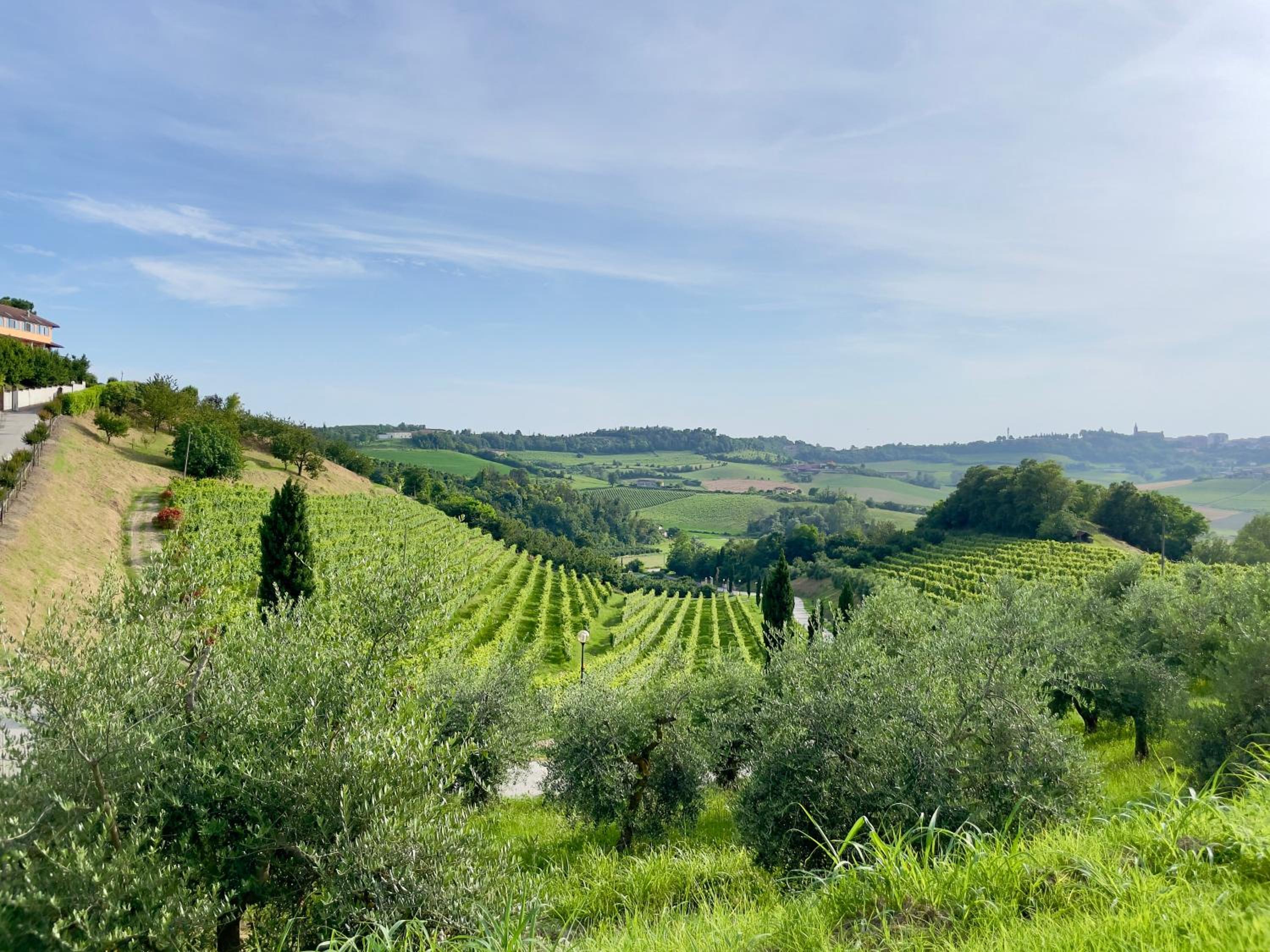 Landora