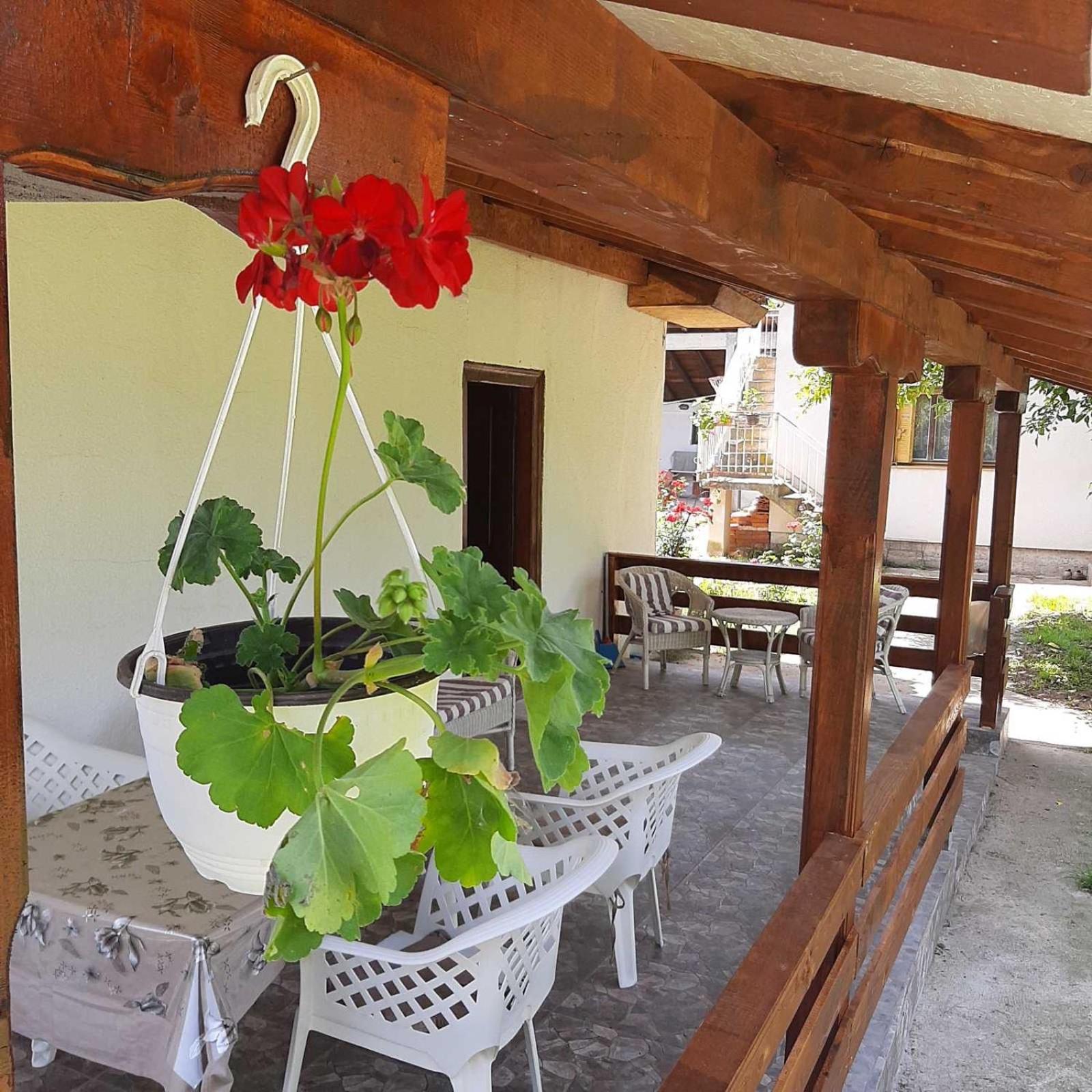Cica Vintage Eco House Near Lake