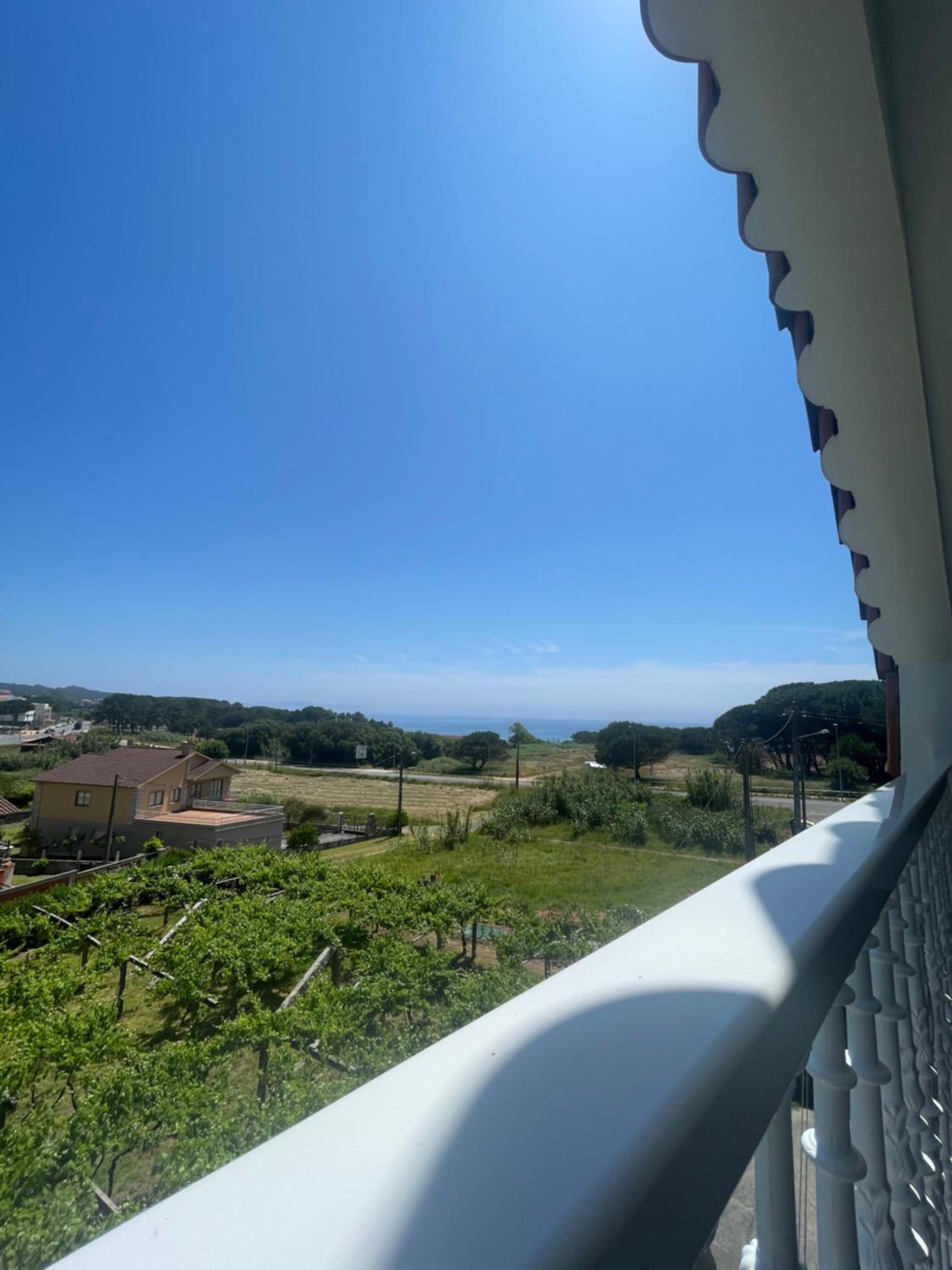 Montalvosol