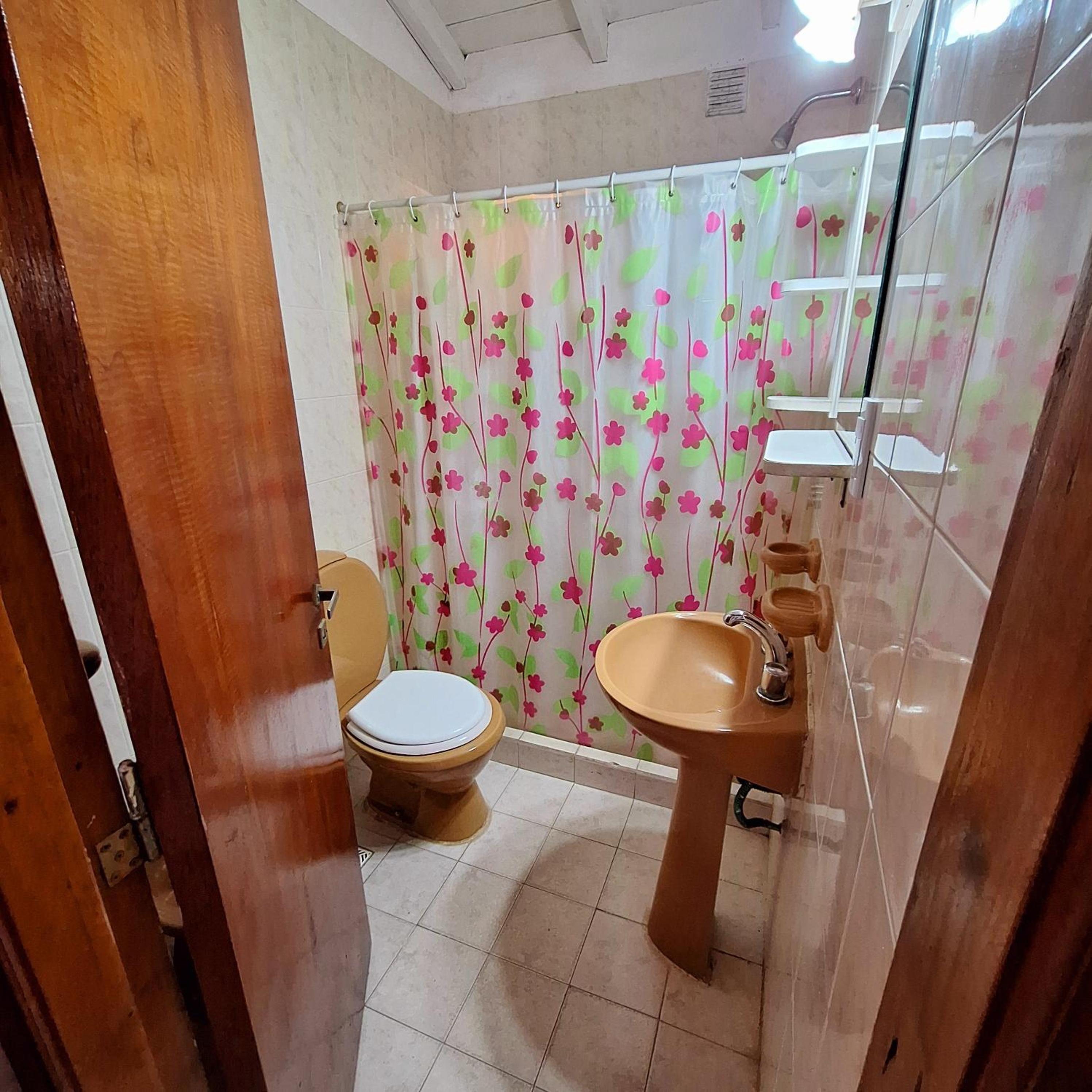 Casa Bis 1