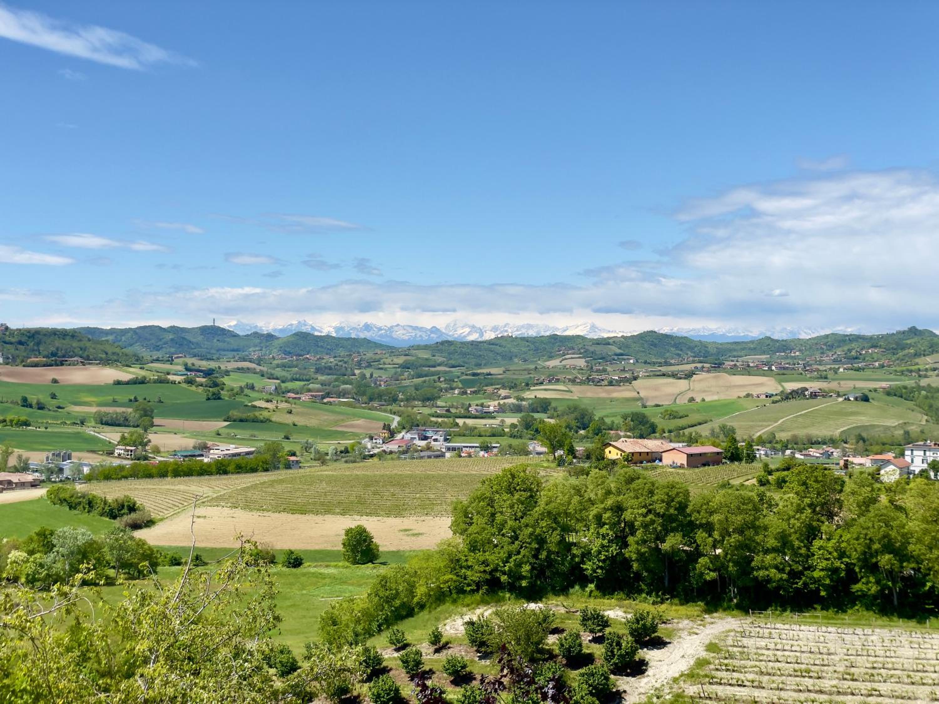 Landora