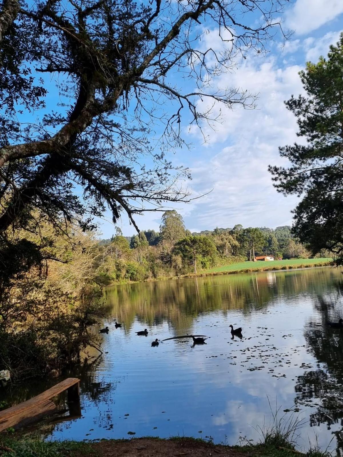 Cabana de pesca e lazer Represa Usina Mafra sc