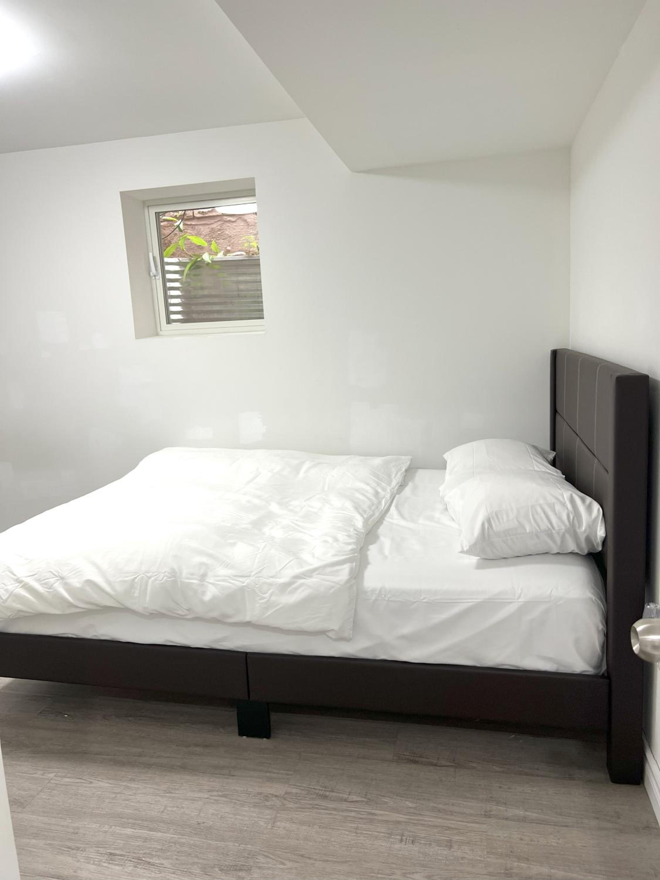 Contemporary Private Basement Suite - Image 4