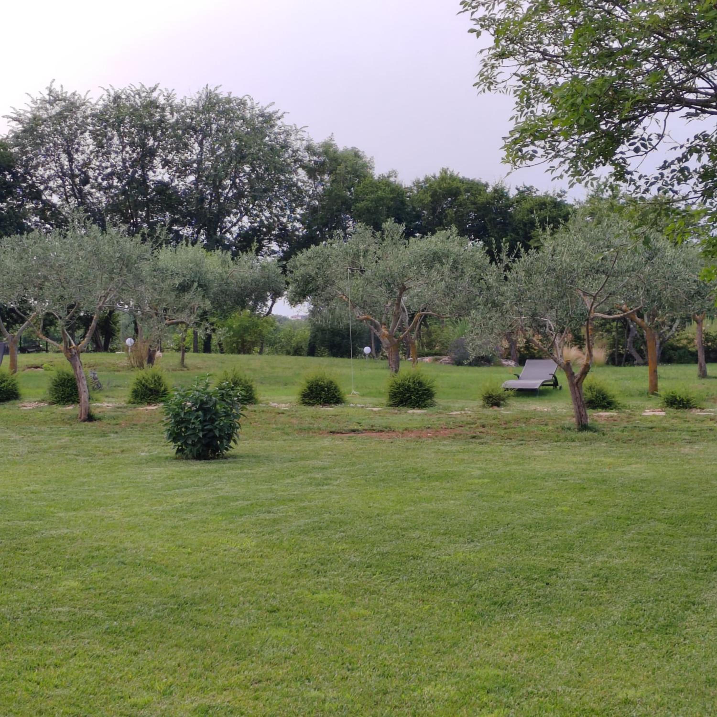 Photo 40