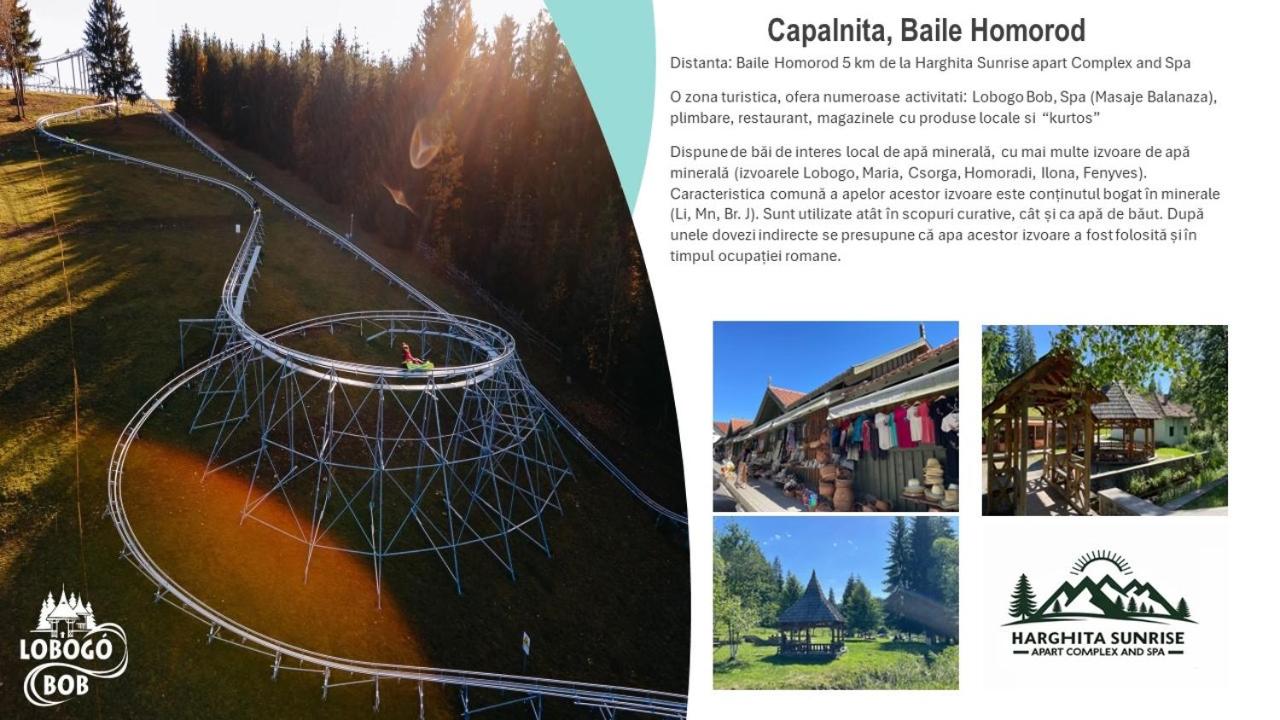 Harghita Sunrise Whole Complex With Indoor Spa, photo 100