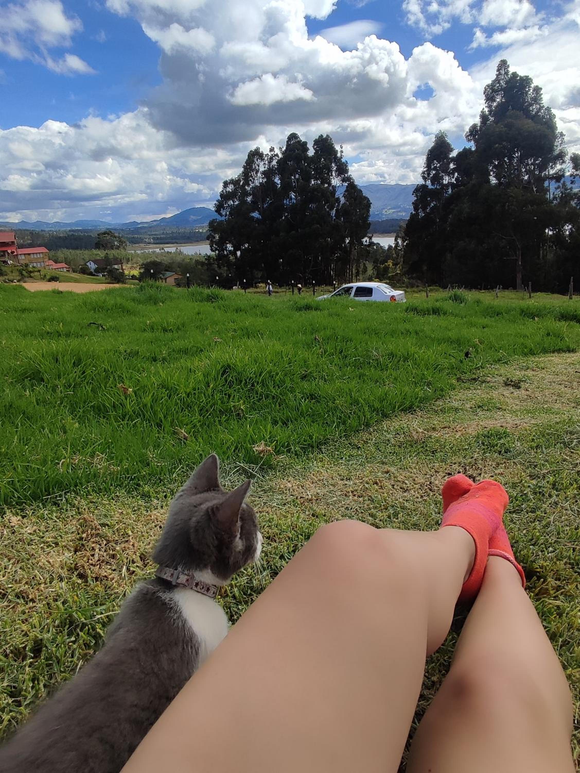 Cabañas Casa Campo Guatavita