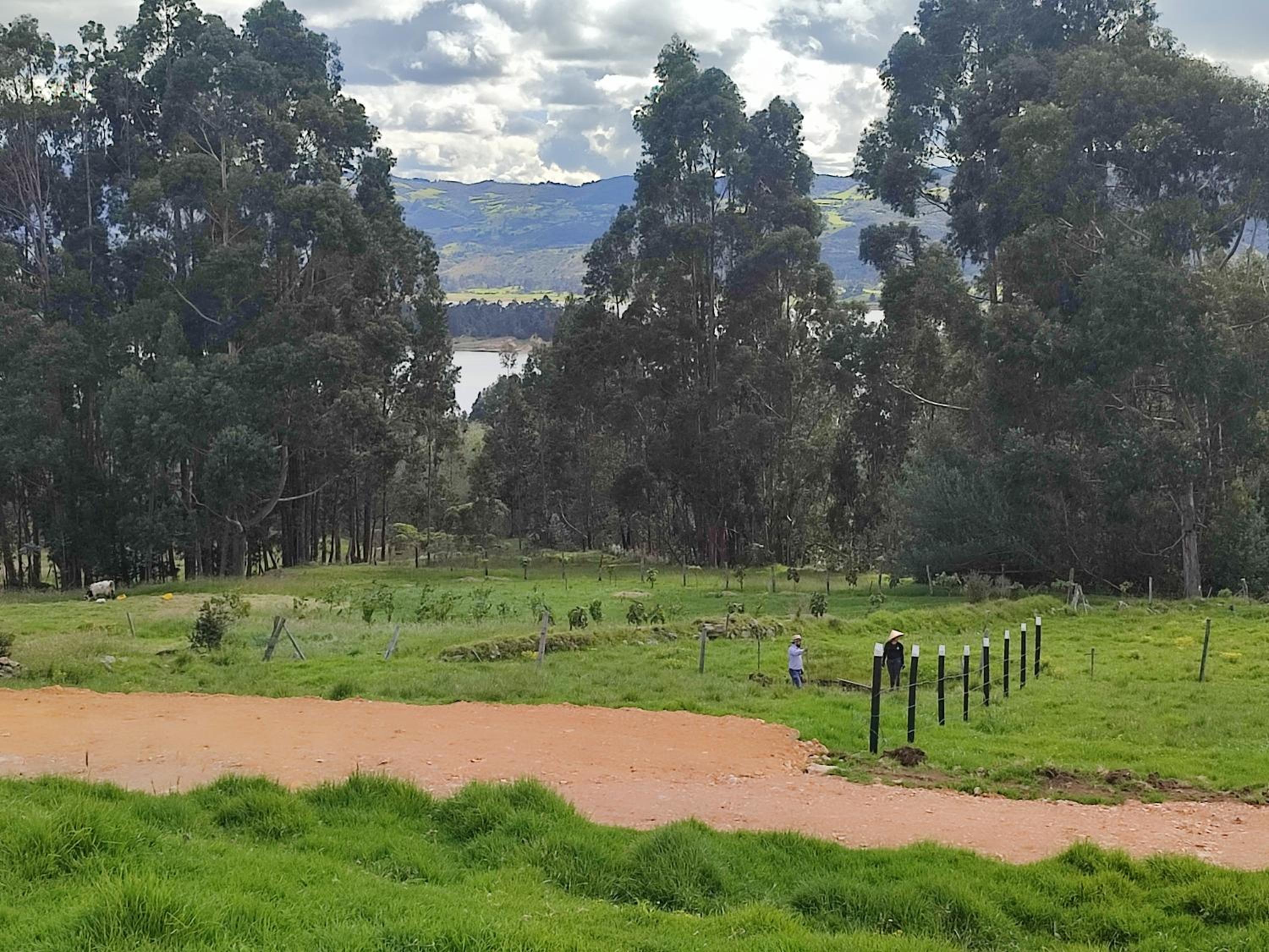 Cabañas Casa Campo Guatavita