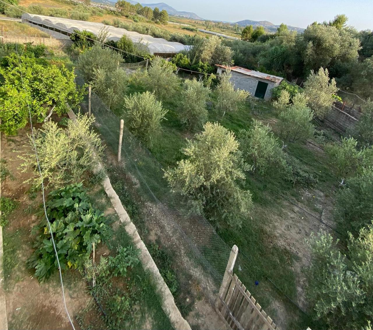 Deon`s Garden