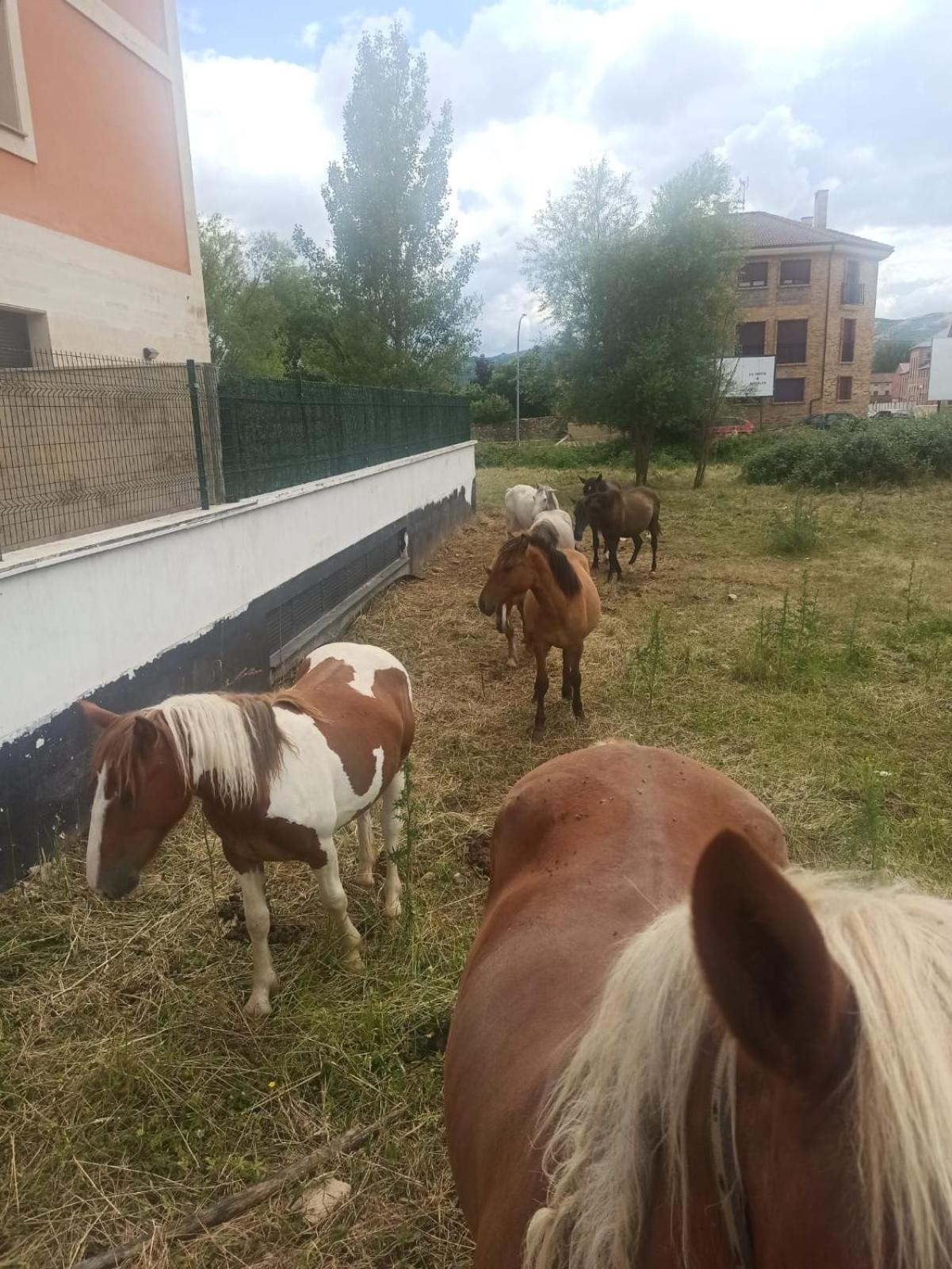 Alojamiento fiordos leoneses Boñar