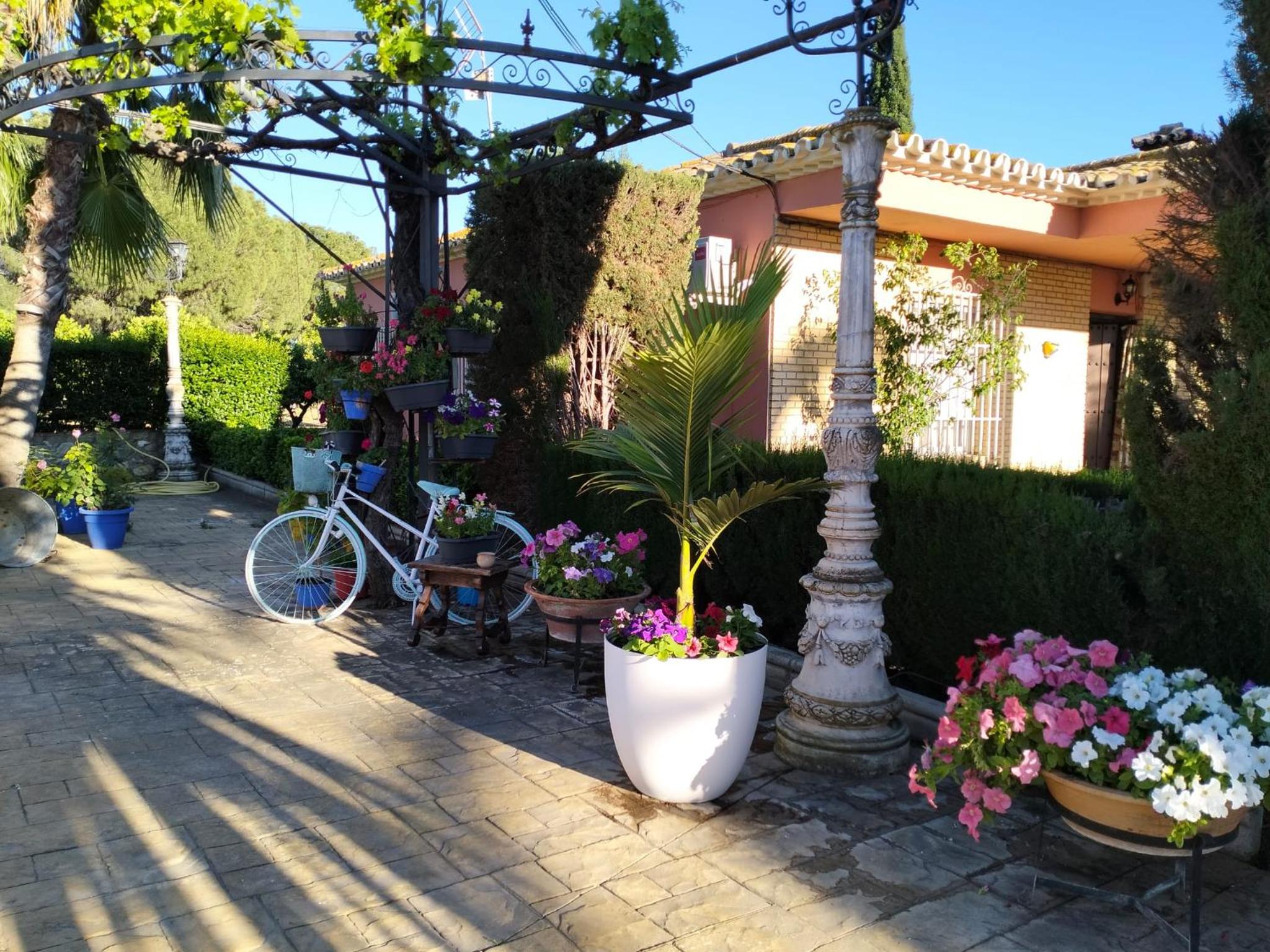 Photo 21