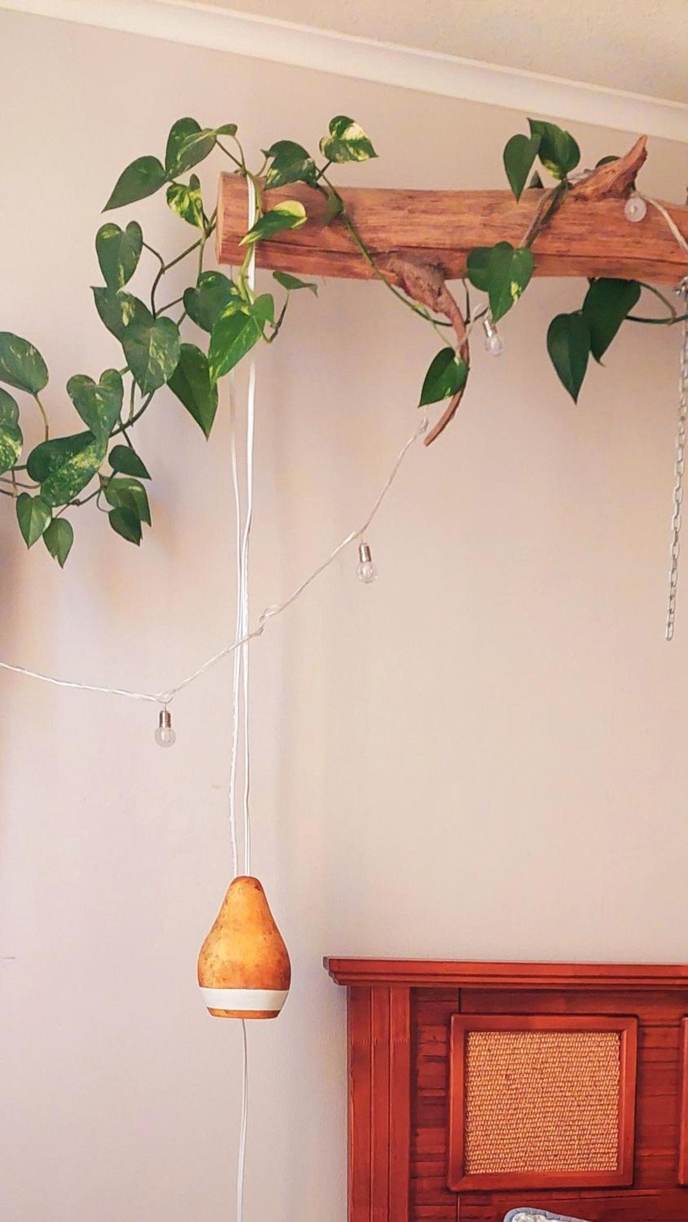 CasaNativa Sur Depto Diseño Boho