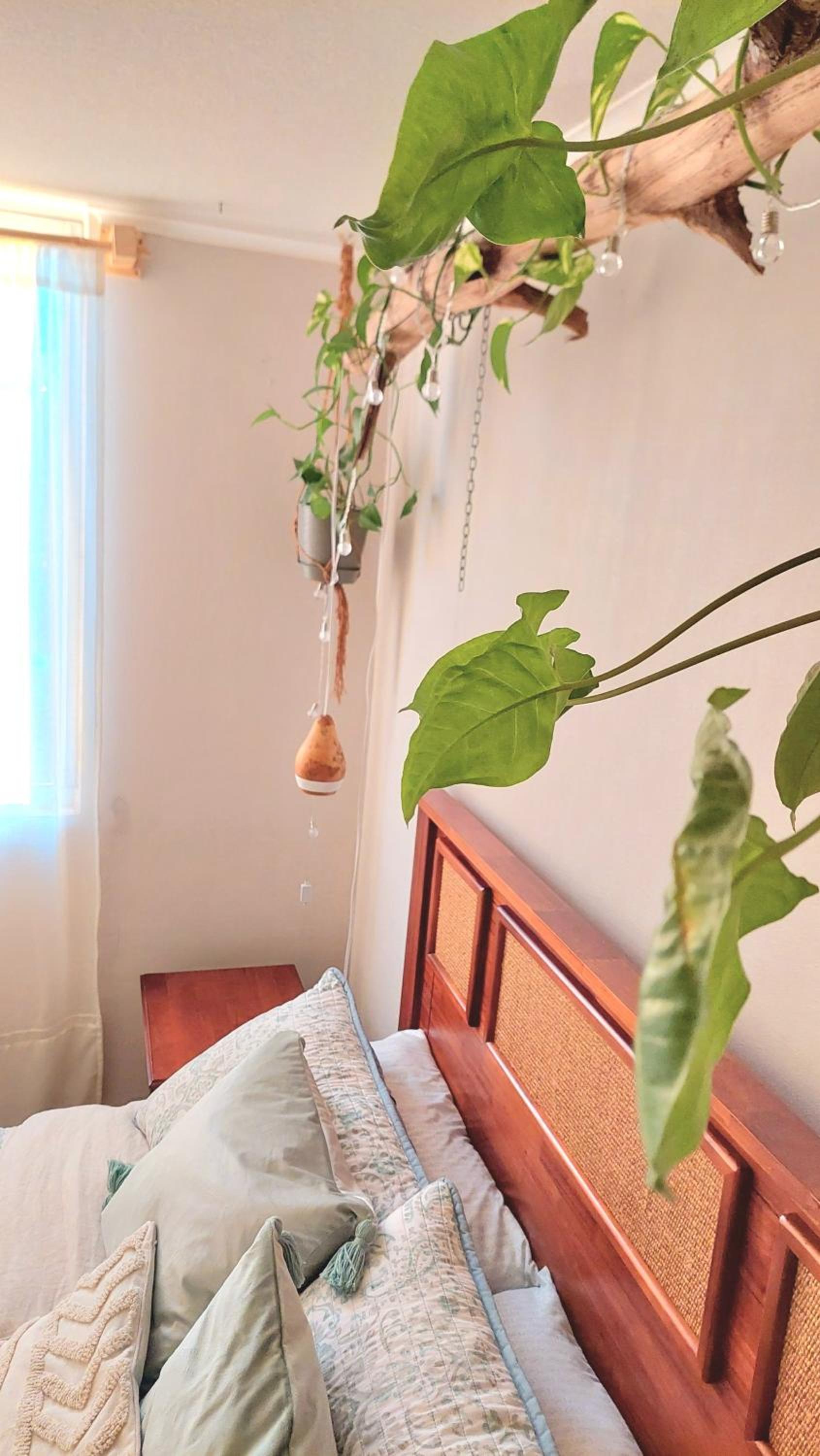 CasaNativa Sur Depto Diseño Boho