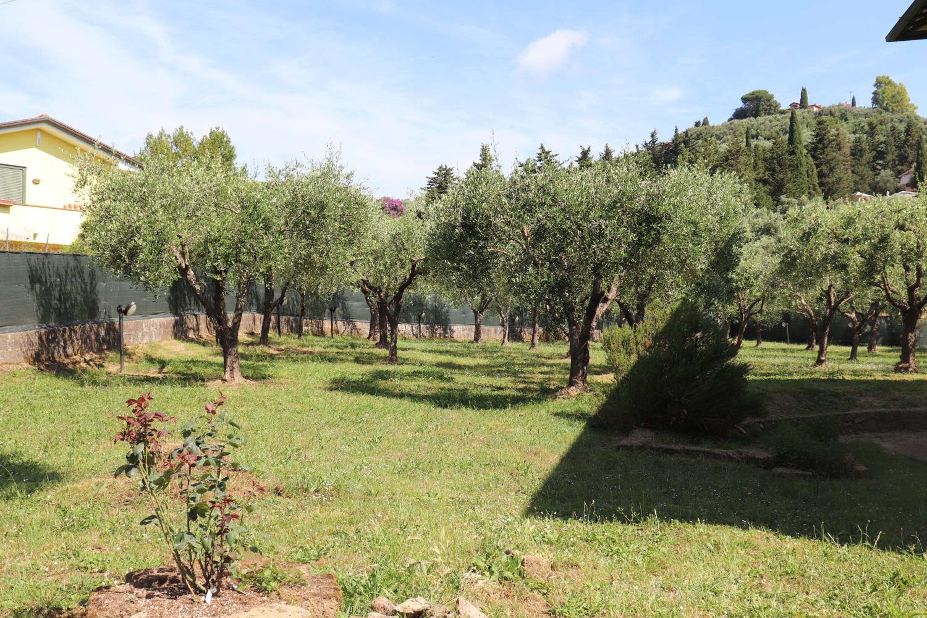 A casa di Chicca view 2