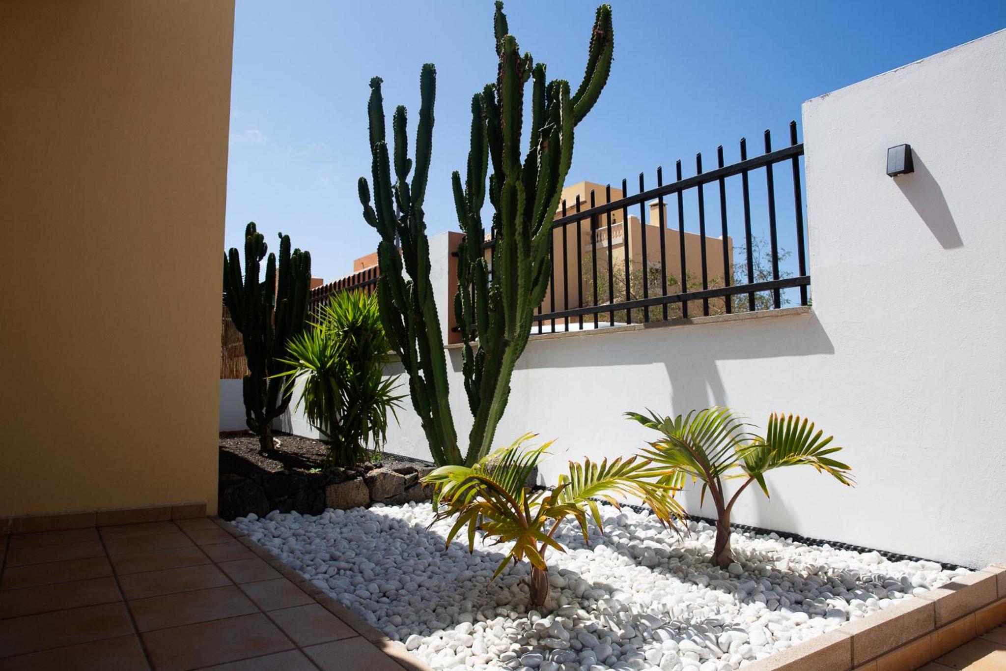 Surf Dream Villa