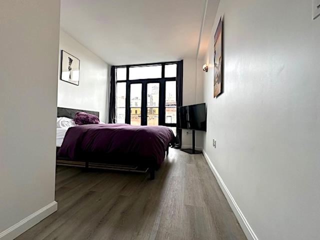 Huge Modern 2 bedroom in Little Italy