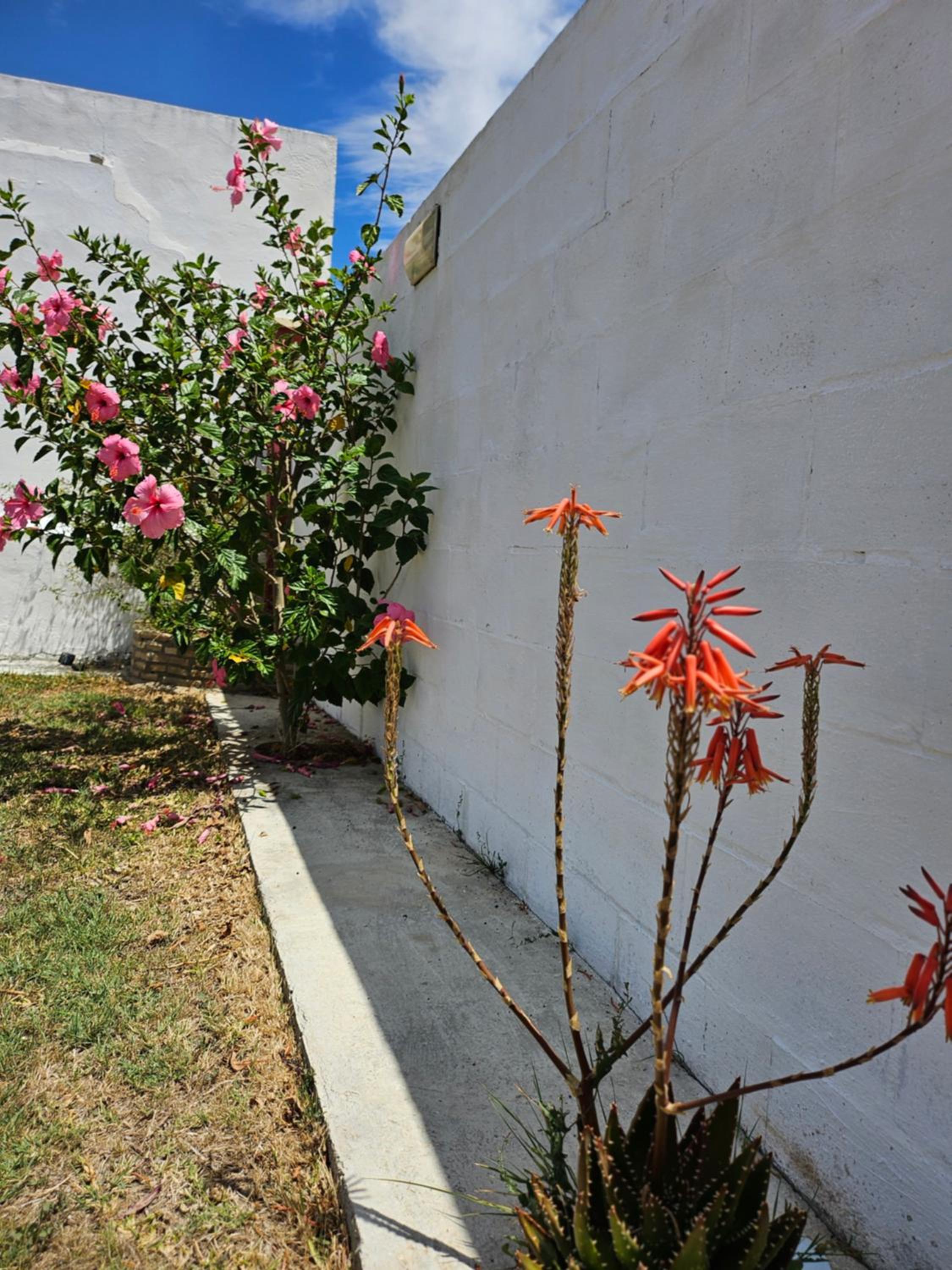 Villa Noniná