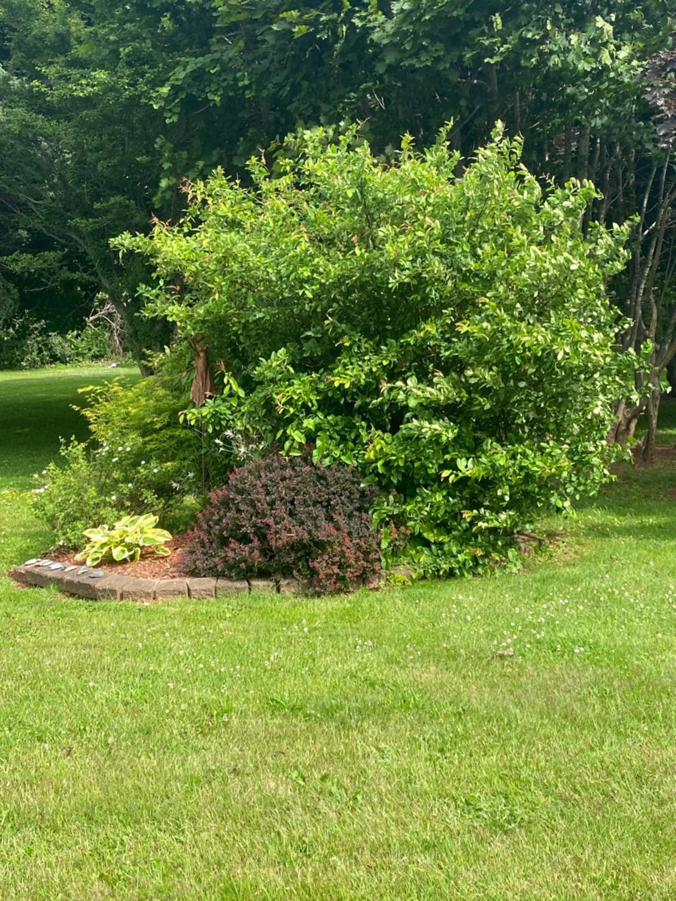Photo 23