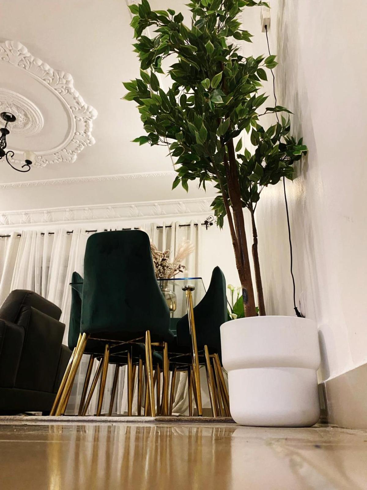 Sky cozy appartement