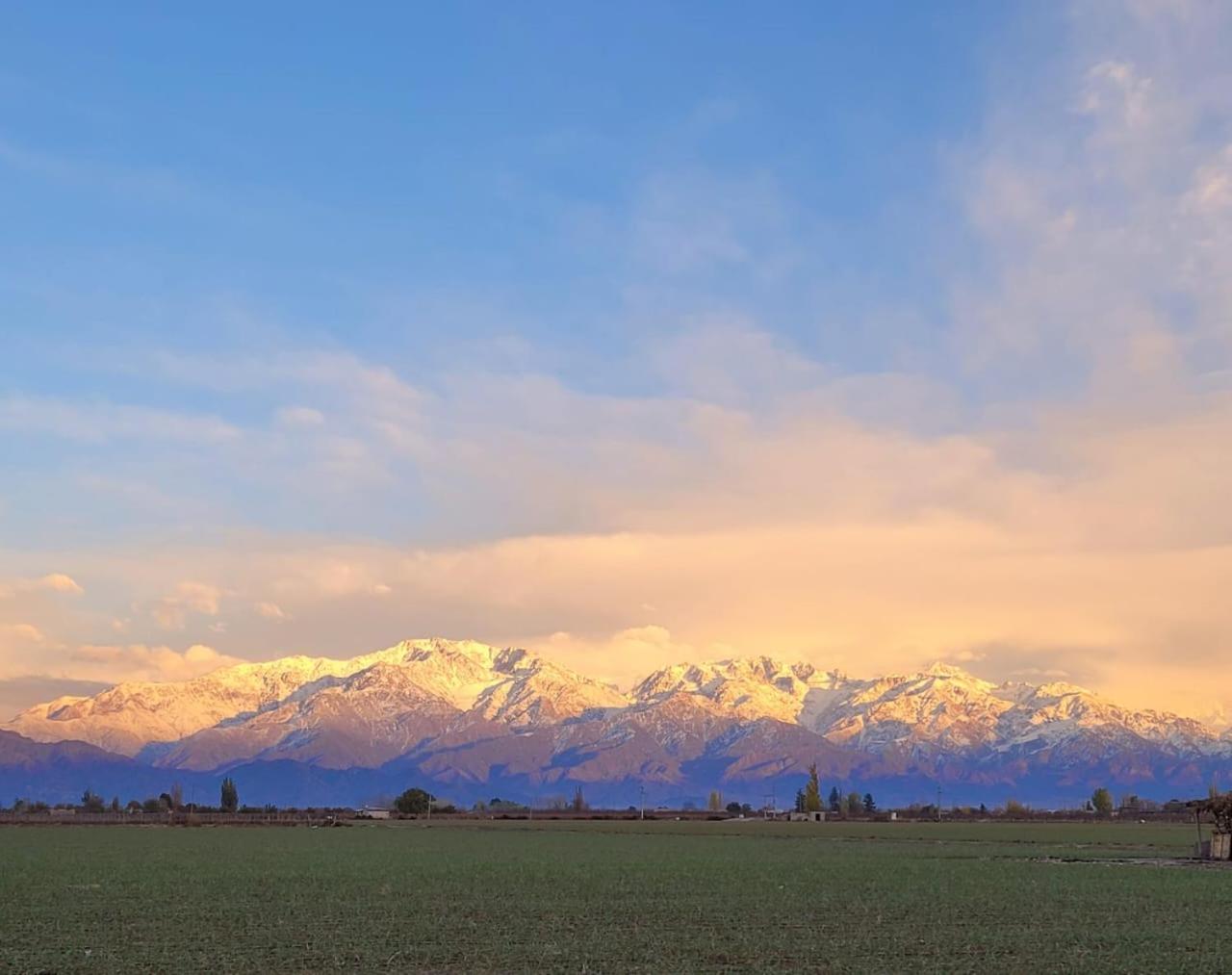 Mendoza es Montaña, Paz y Malbec
