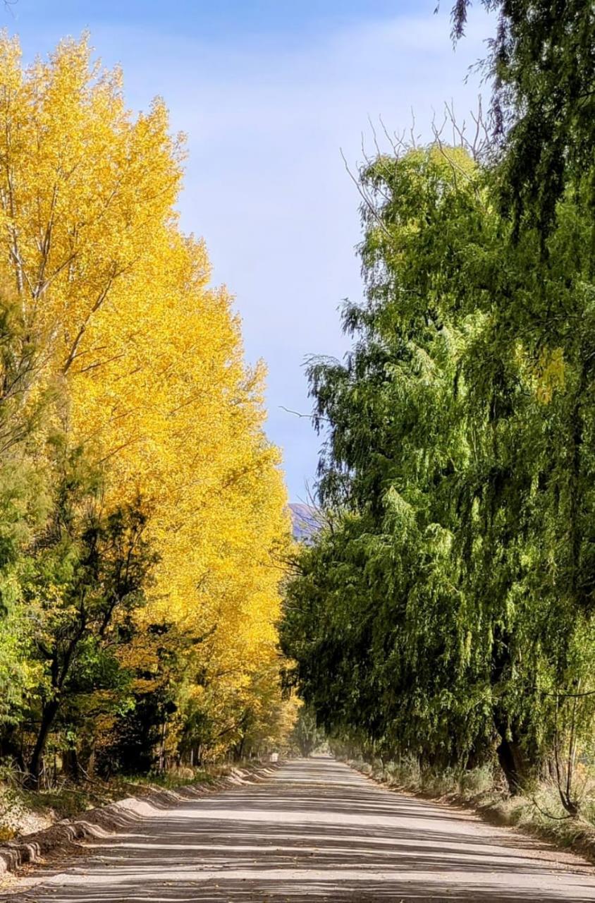 Mendoza es Montaña, Paz y Malbec