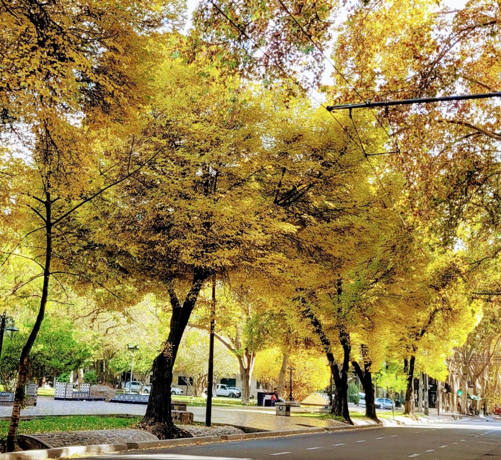 Mendoza es Montaña, Paz y Malbec