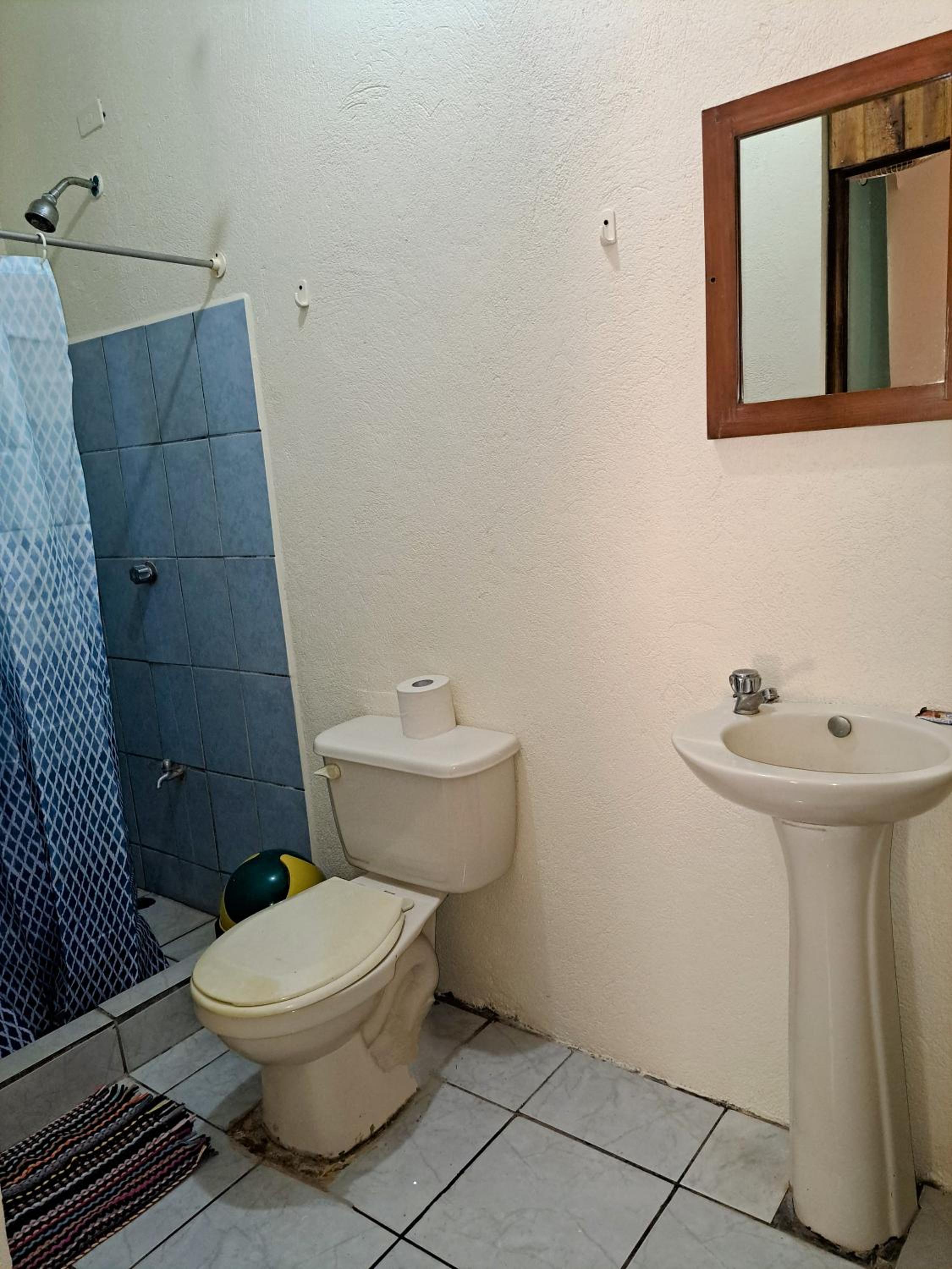 Cabinas Hoja del Bosque