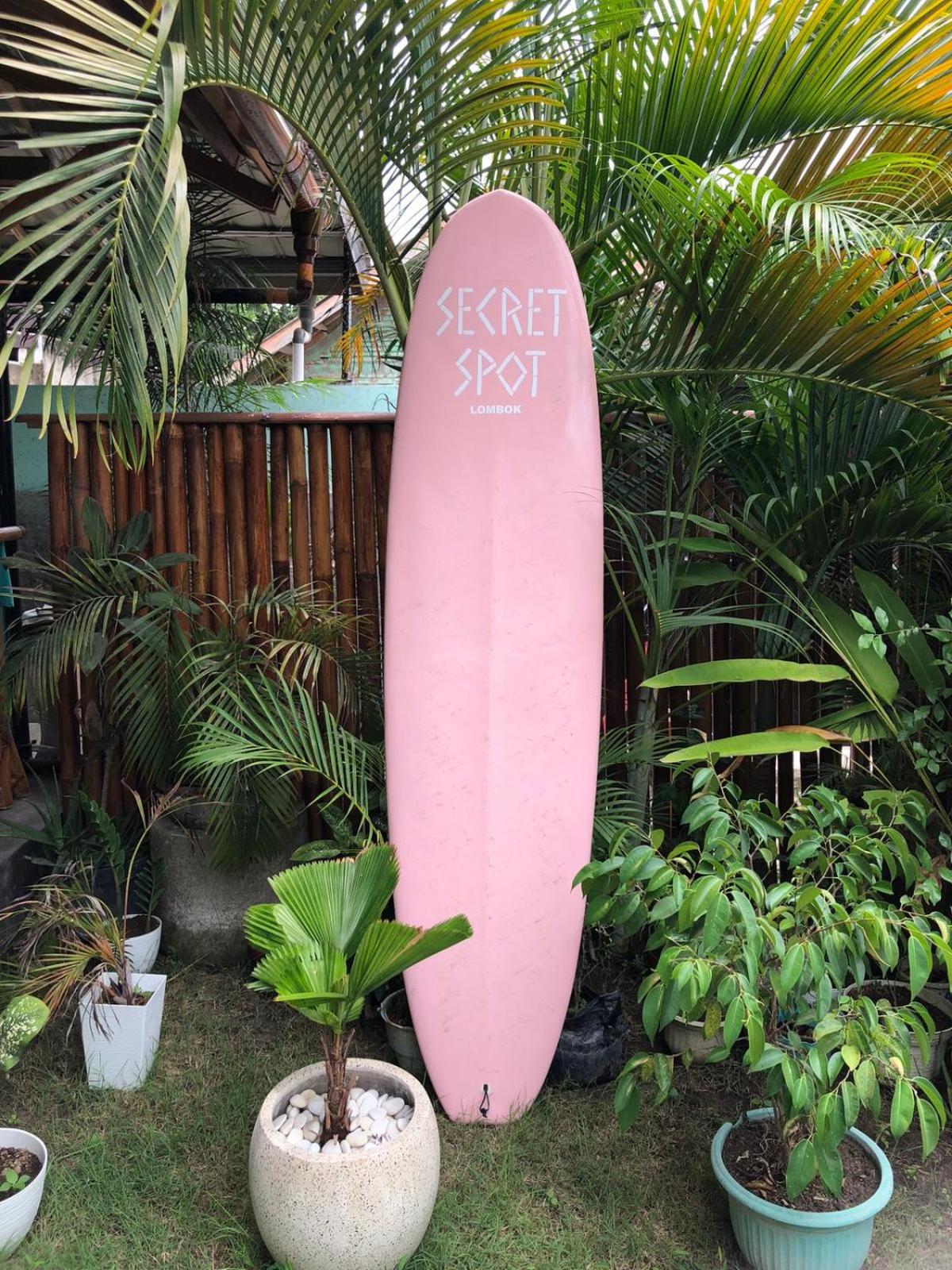 Secret Spot Surf and Stay view 4