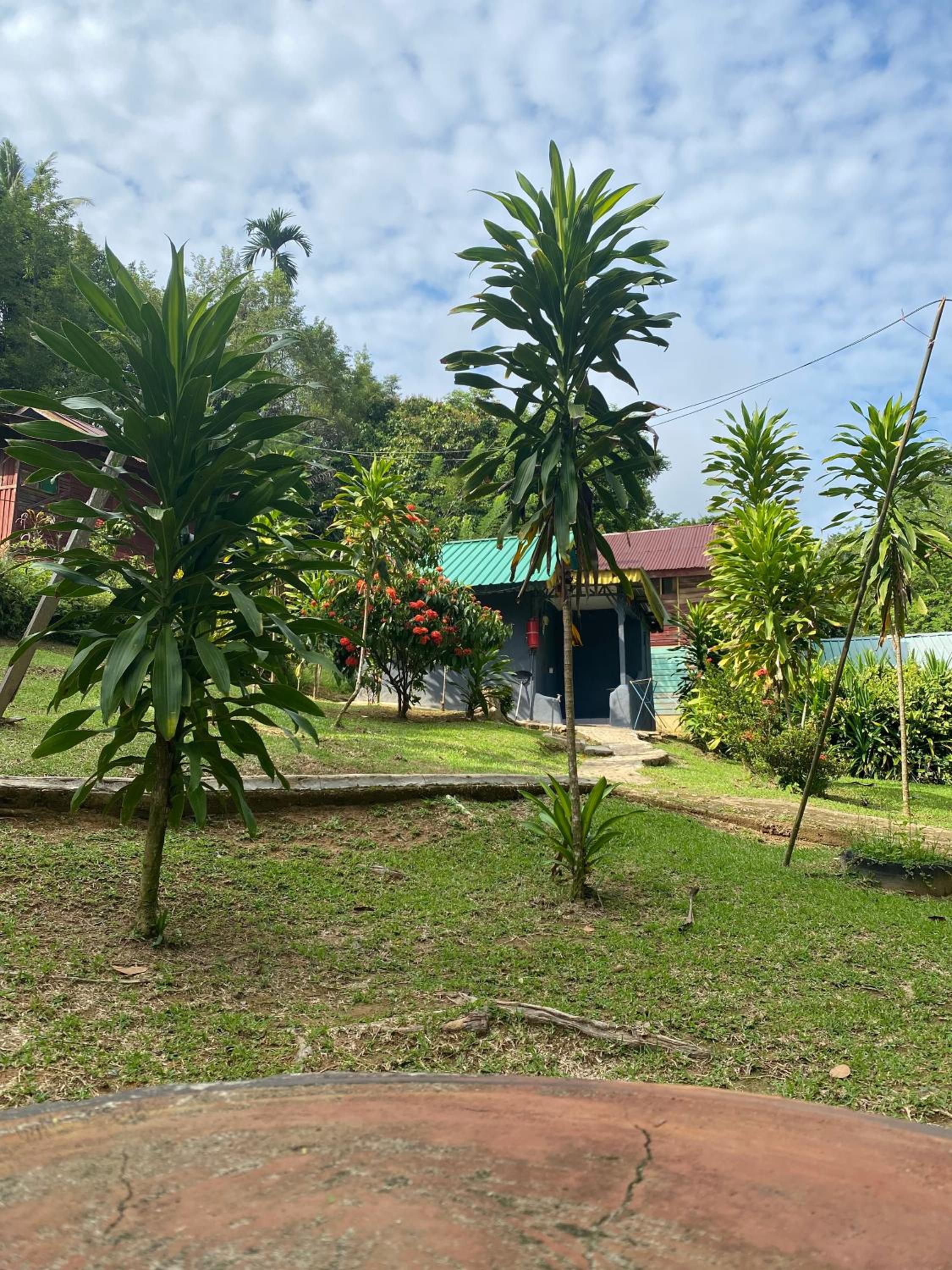 Durian Chalet photo 7