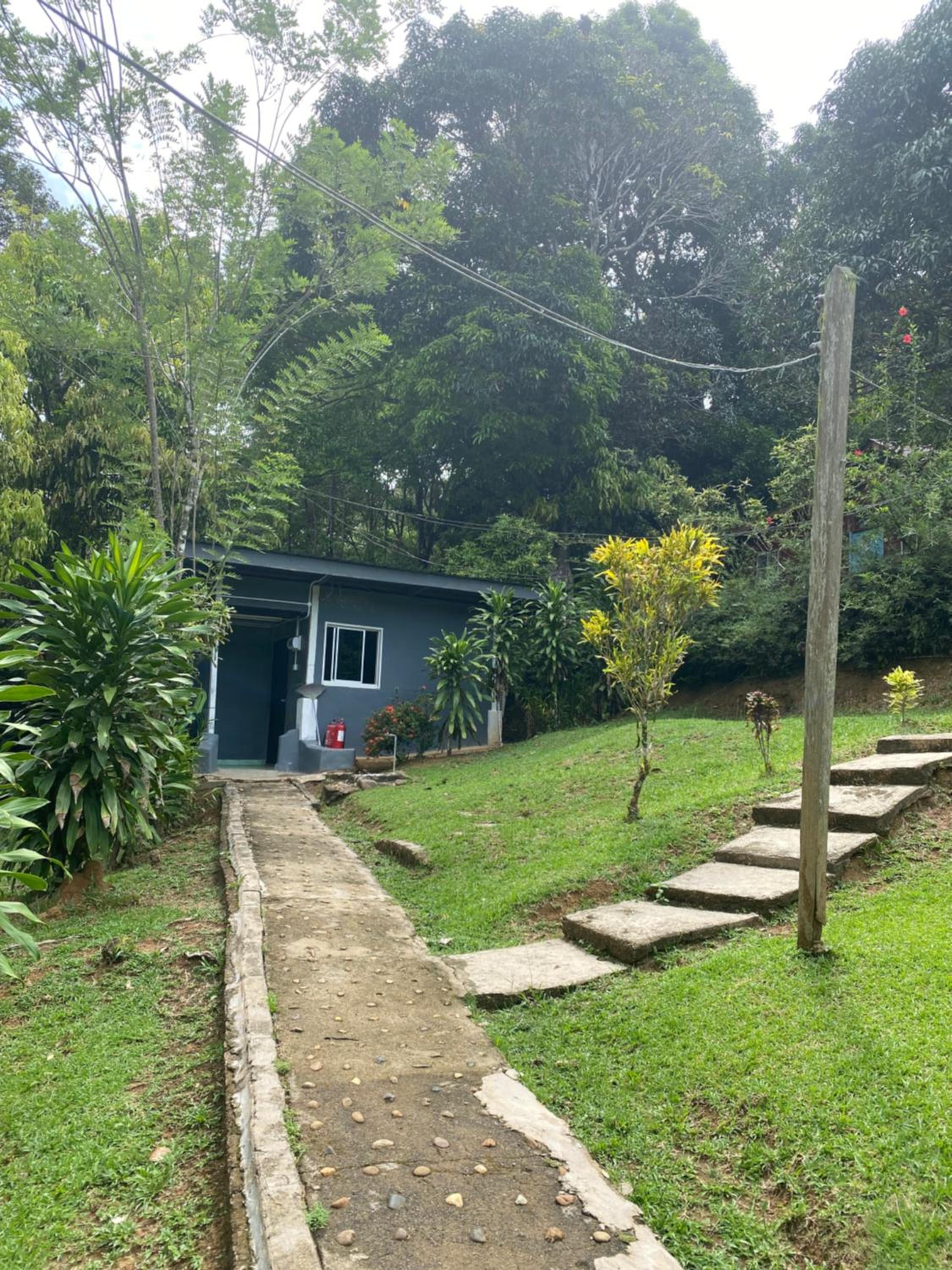 Durian Chalet photo 6