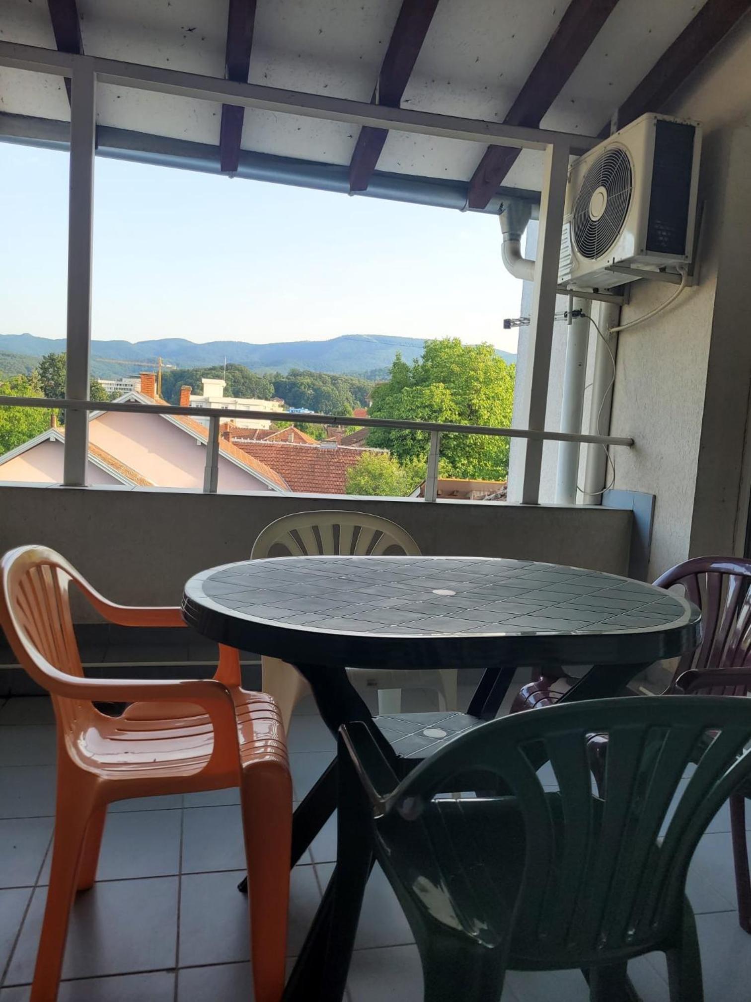 Apartman Mist, Vrnjačka Banja view 3