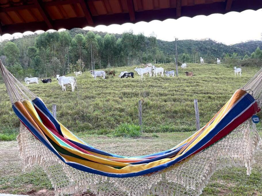 Sitio Nascentes da Serra