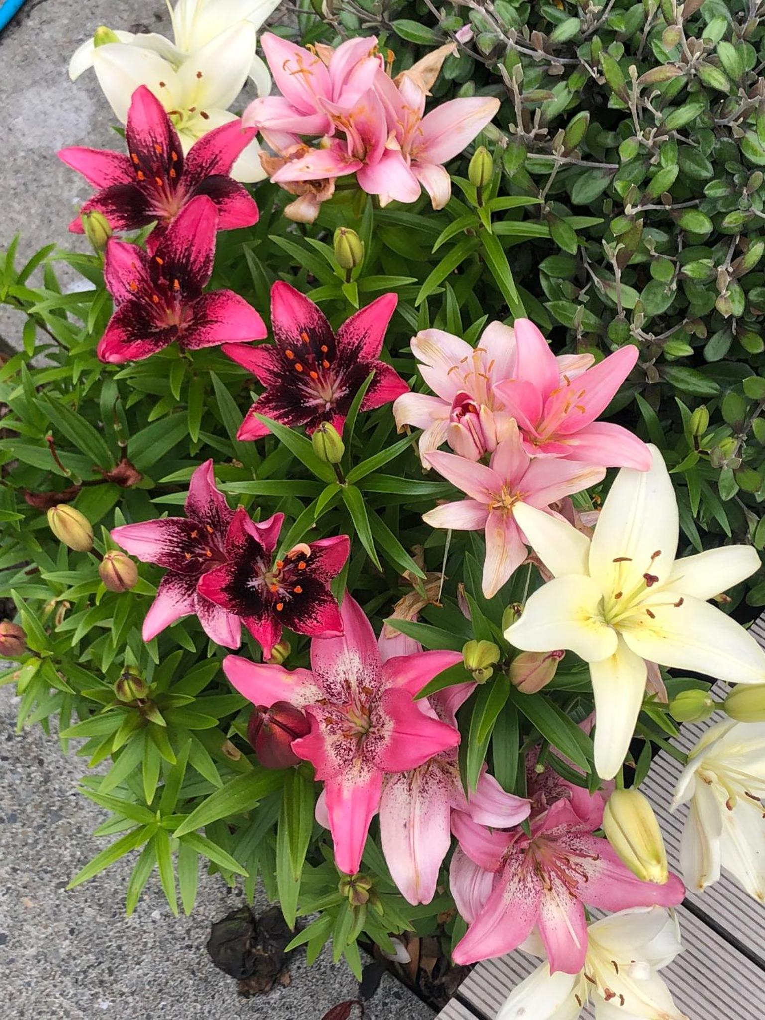 Top Floor Bed and Breakfast view 4