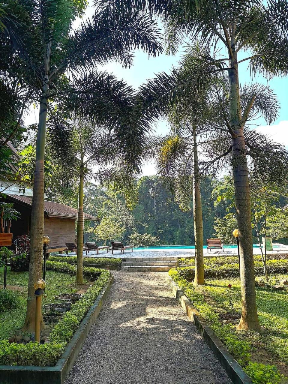 Kandy Cabana, photo 37