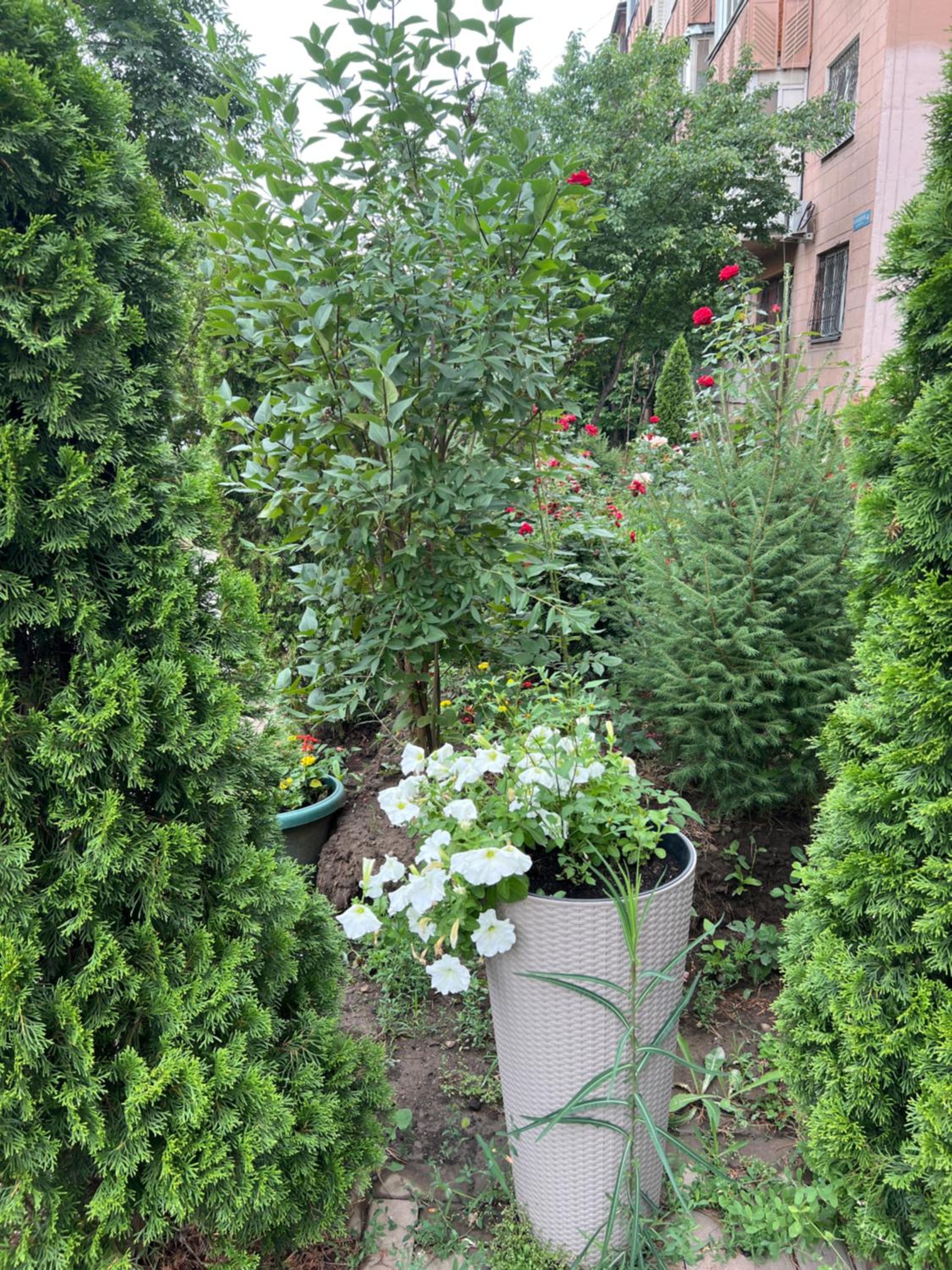 Photo 21
