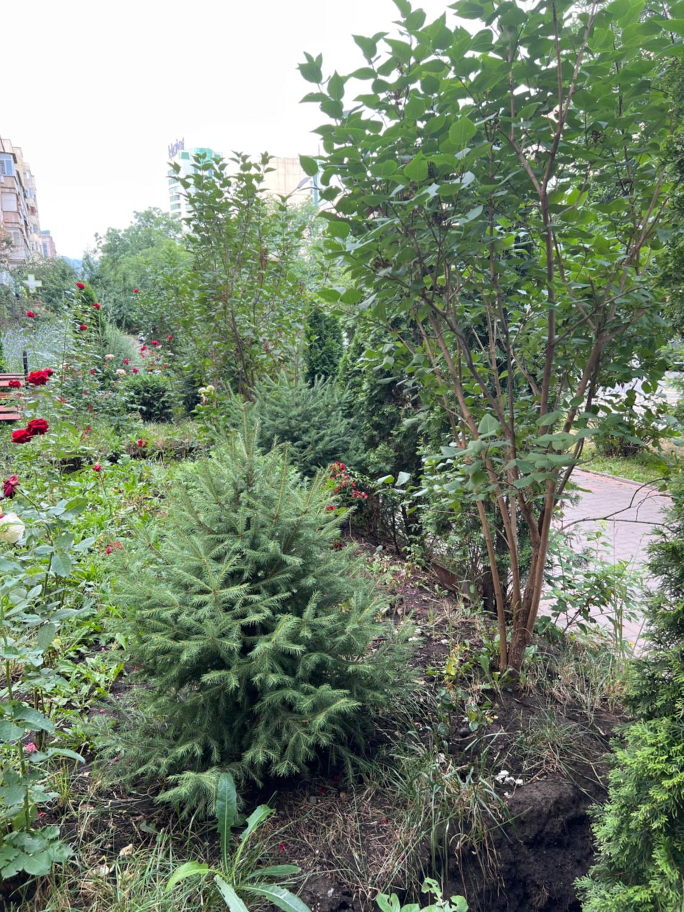 Photo 20
