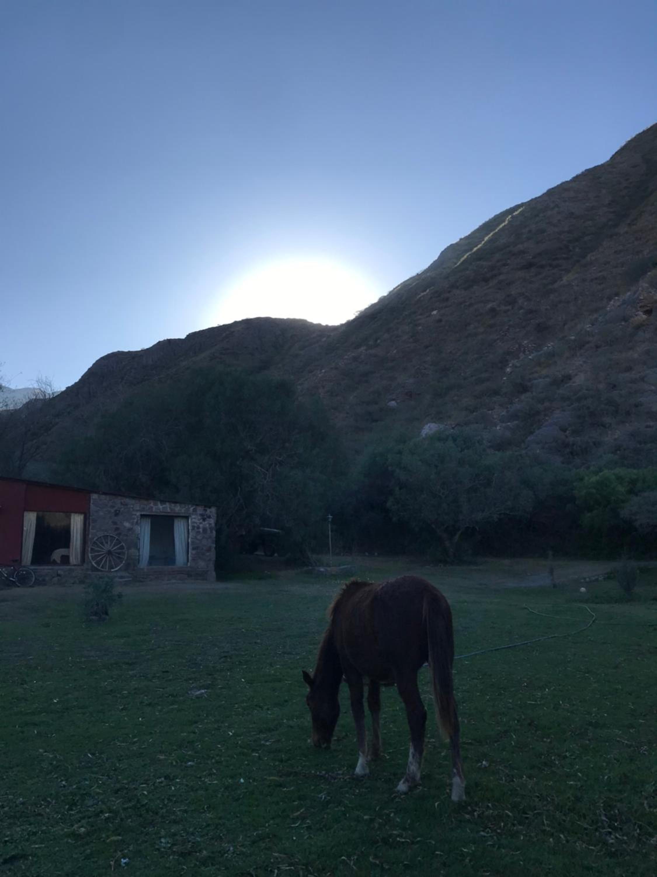 Corazonada casa de campo 2