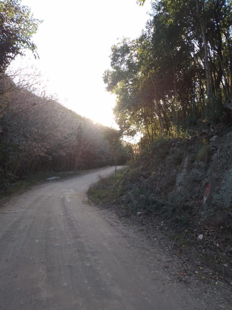 Cabañas Ecovalle