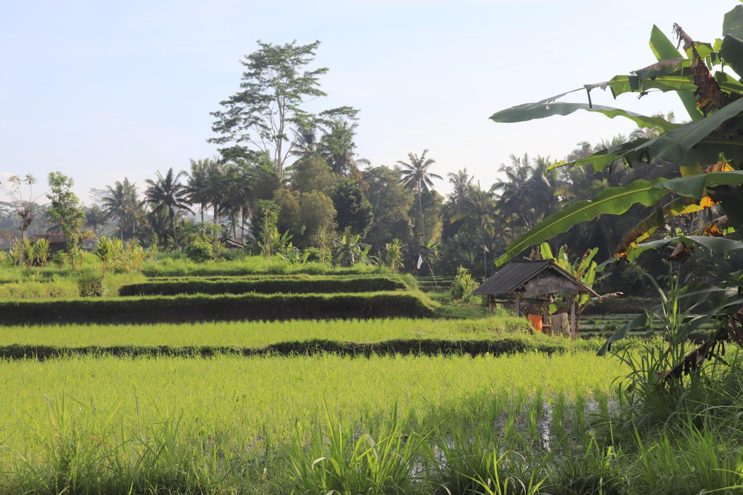 Pondok Kembar Ubud