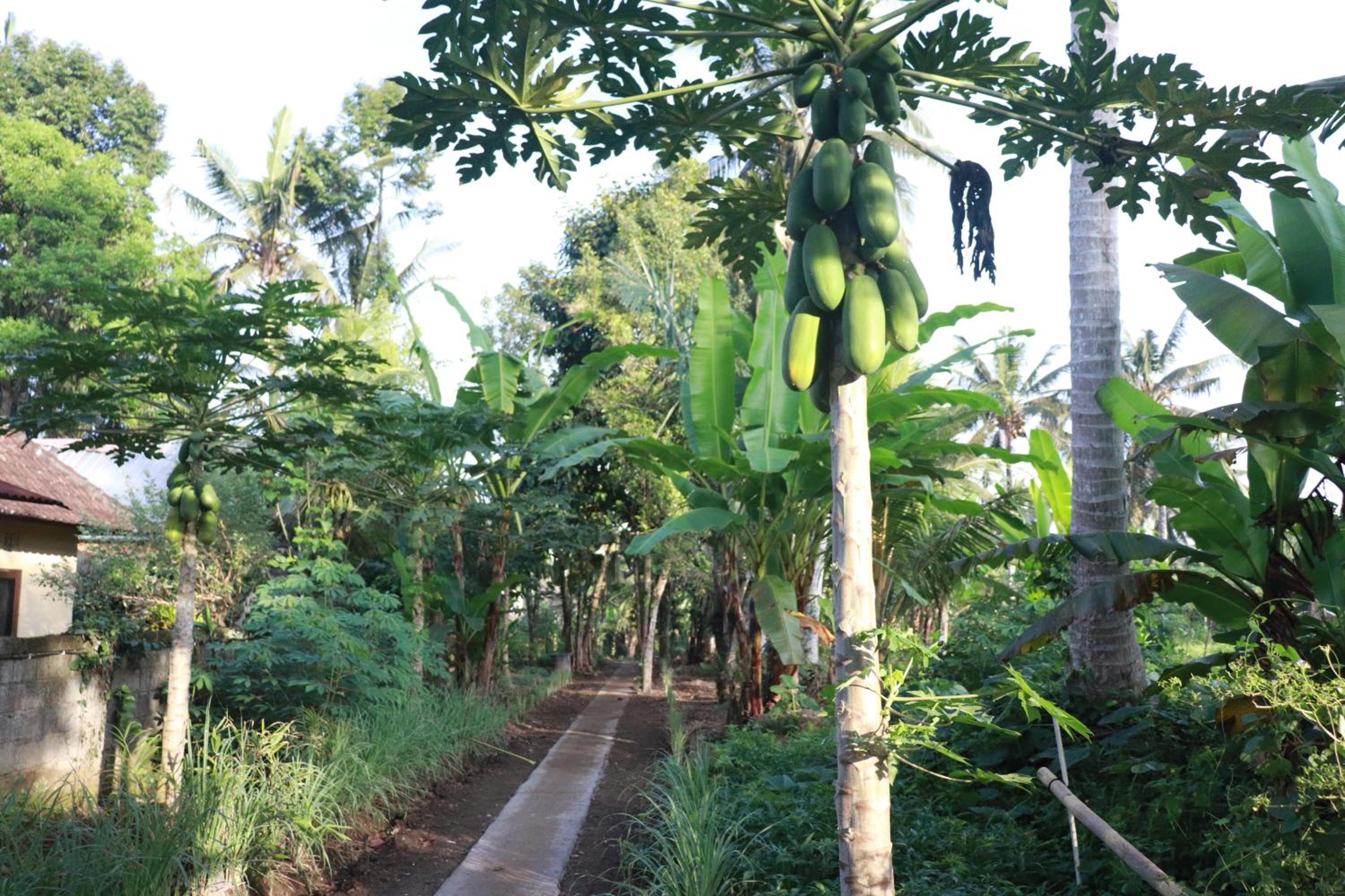 Pondok Kembar Ubud