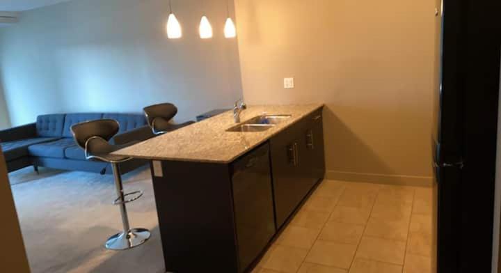 Spacious Apartment Near Stampede & Train Station