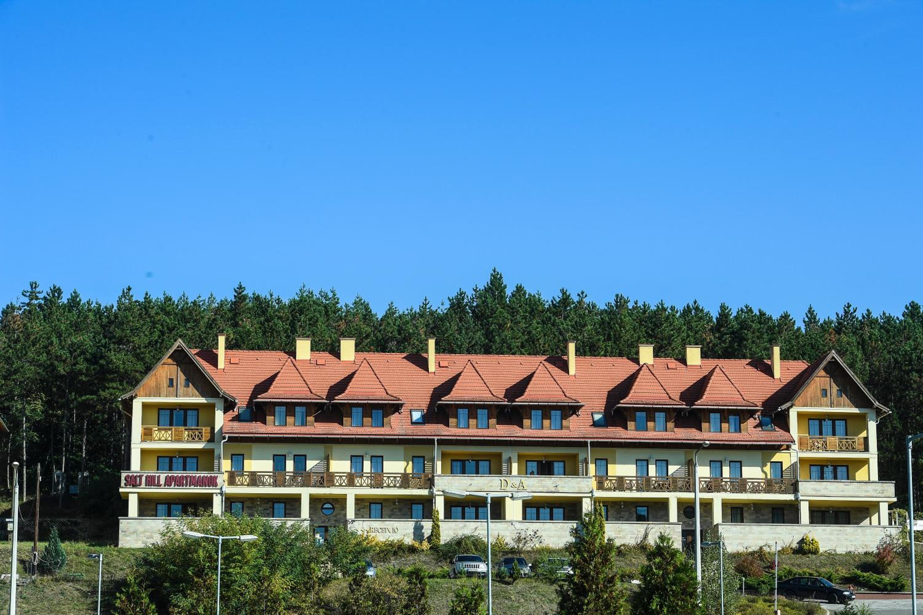Salt Hill Apartman No 19 view 5