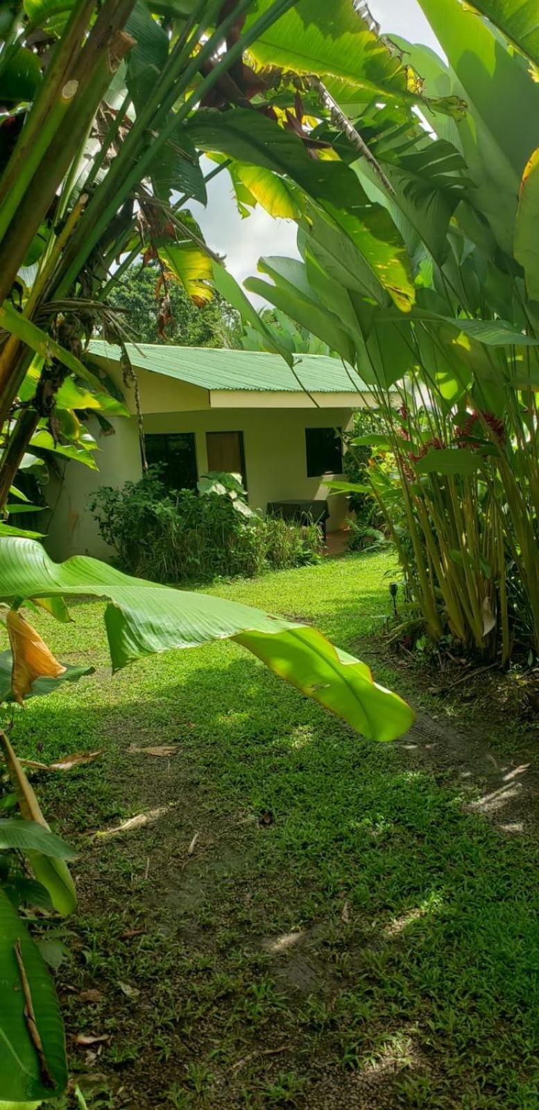 Apartment-Pura Vida-Wi-Fi-TV-WC-AC-Parqueo